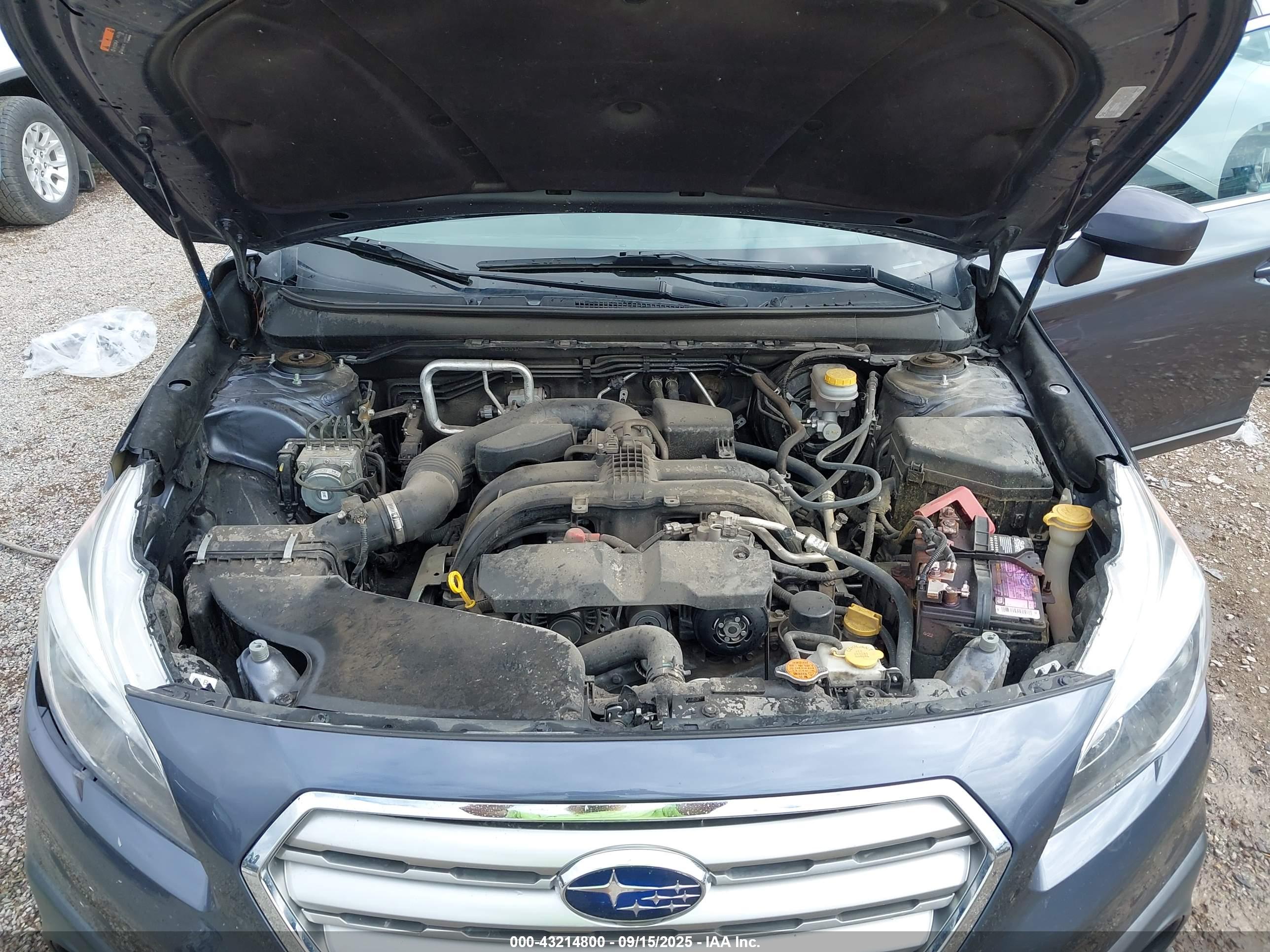 SUBARU OUTBACK image 10