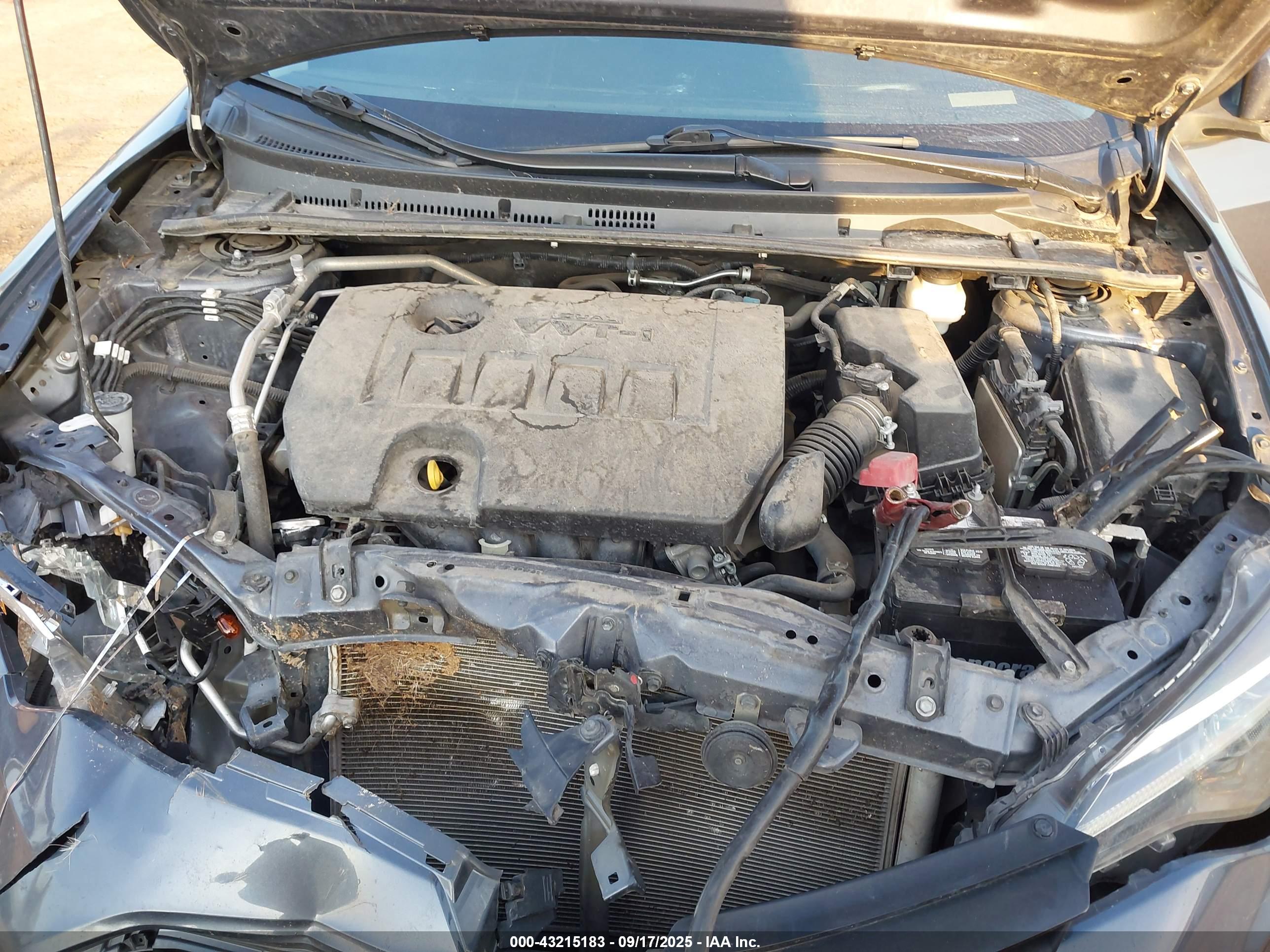 TOYOTA COROLLA image 10