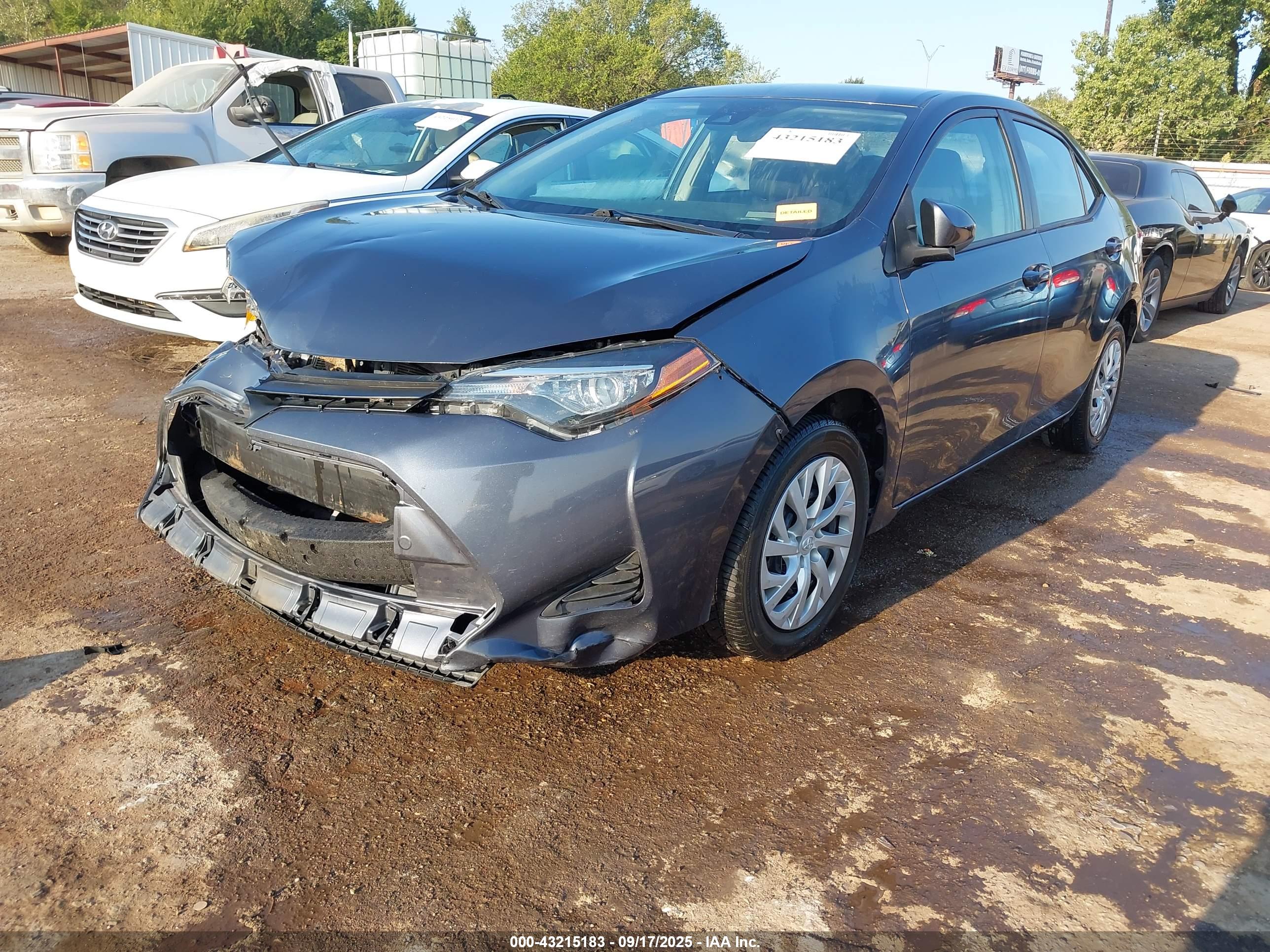 TOYOTA COROLLA image 2