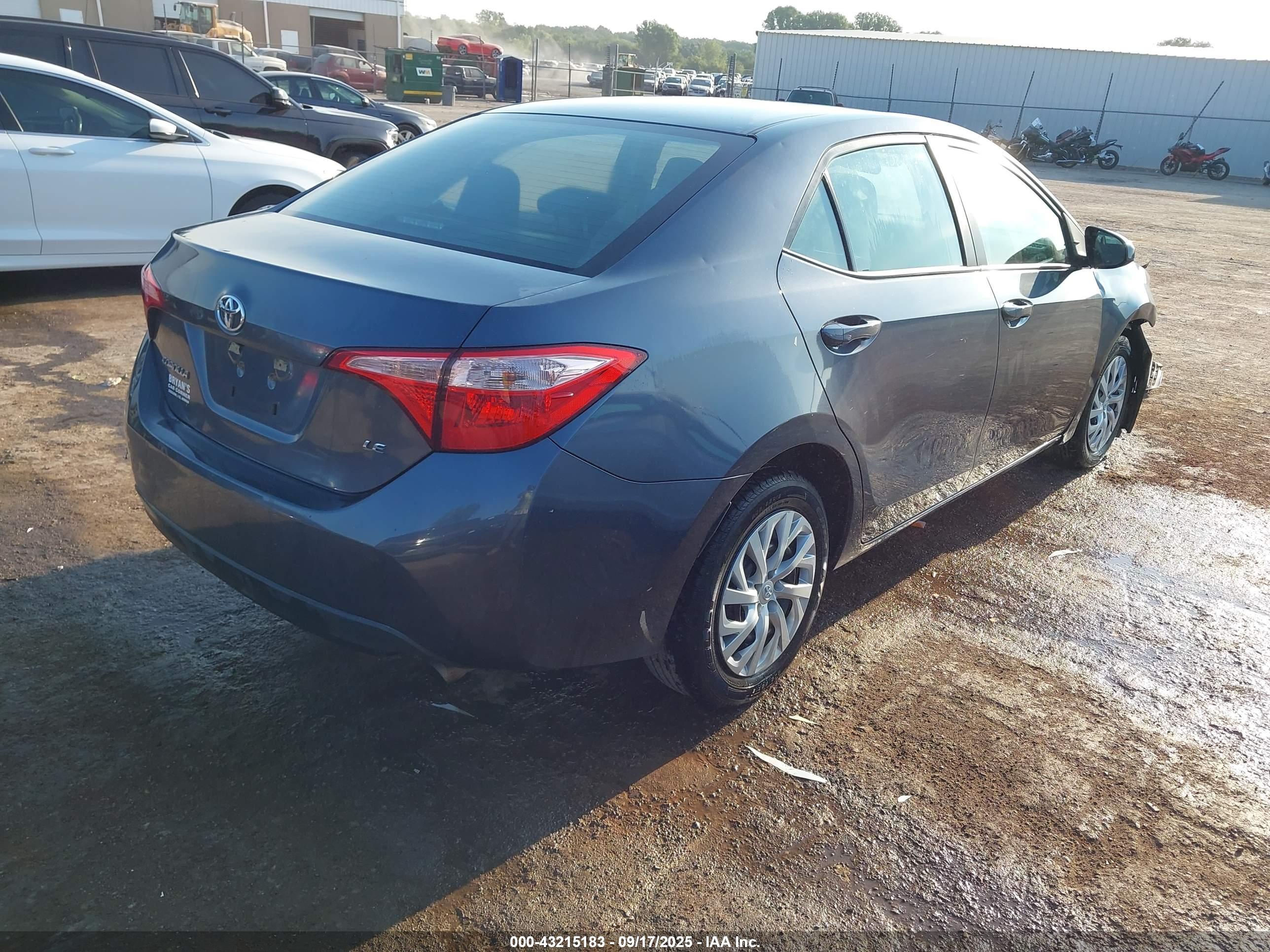TOYOTA COROLLA image 4