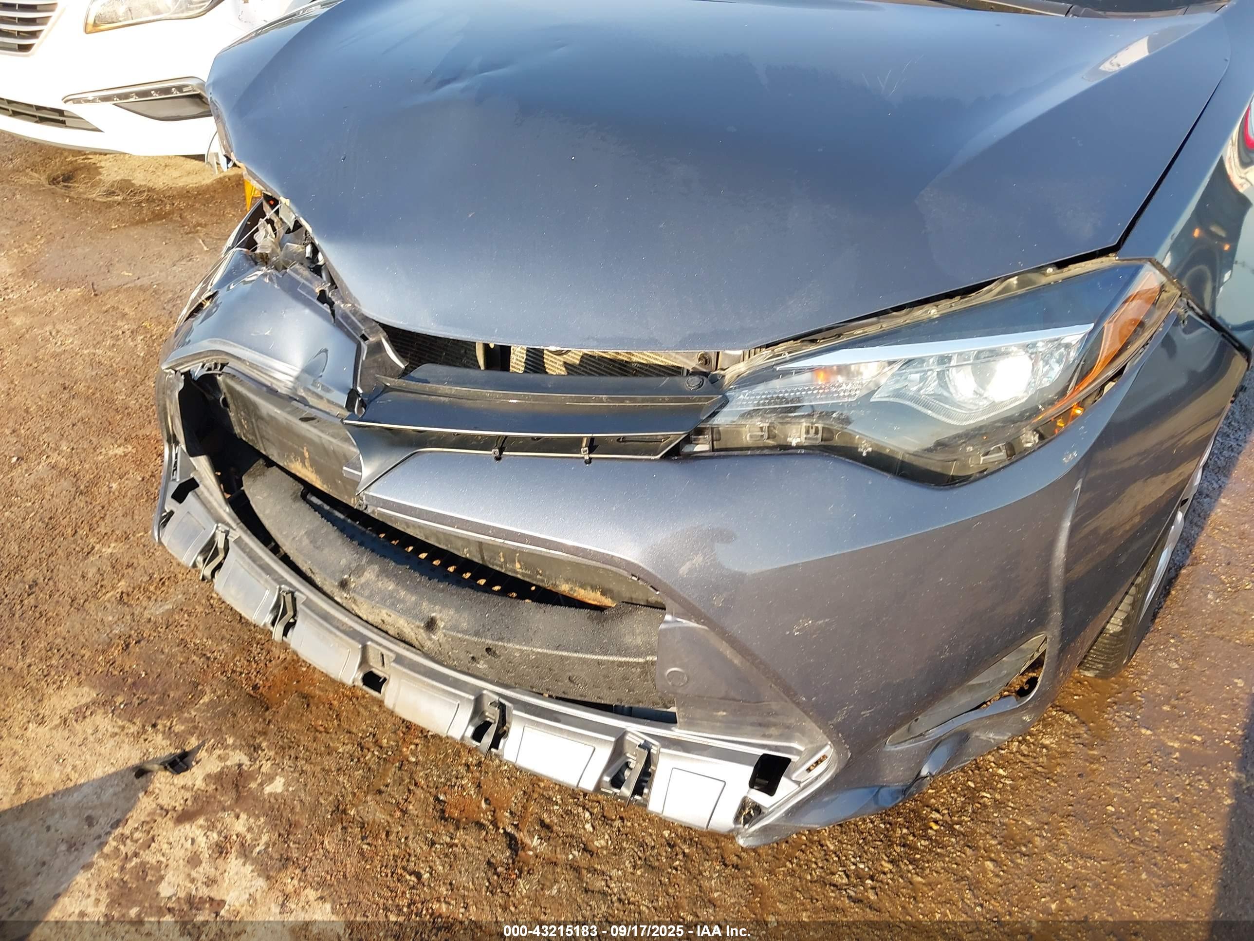 TOYOTA COROLLA image 6