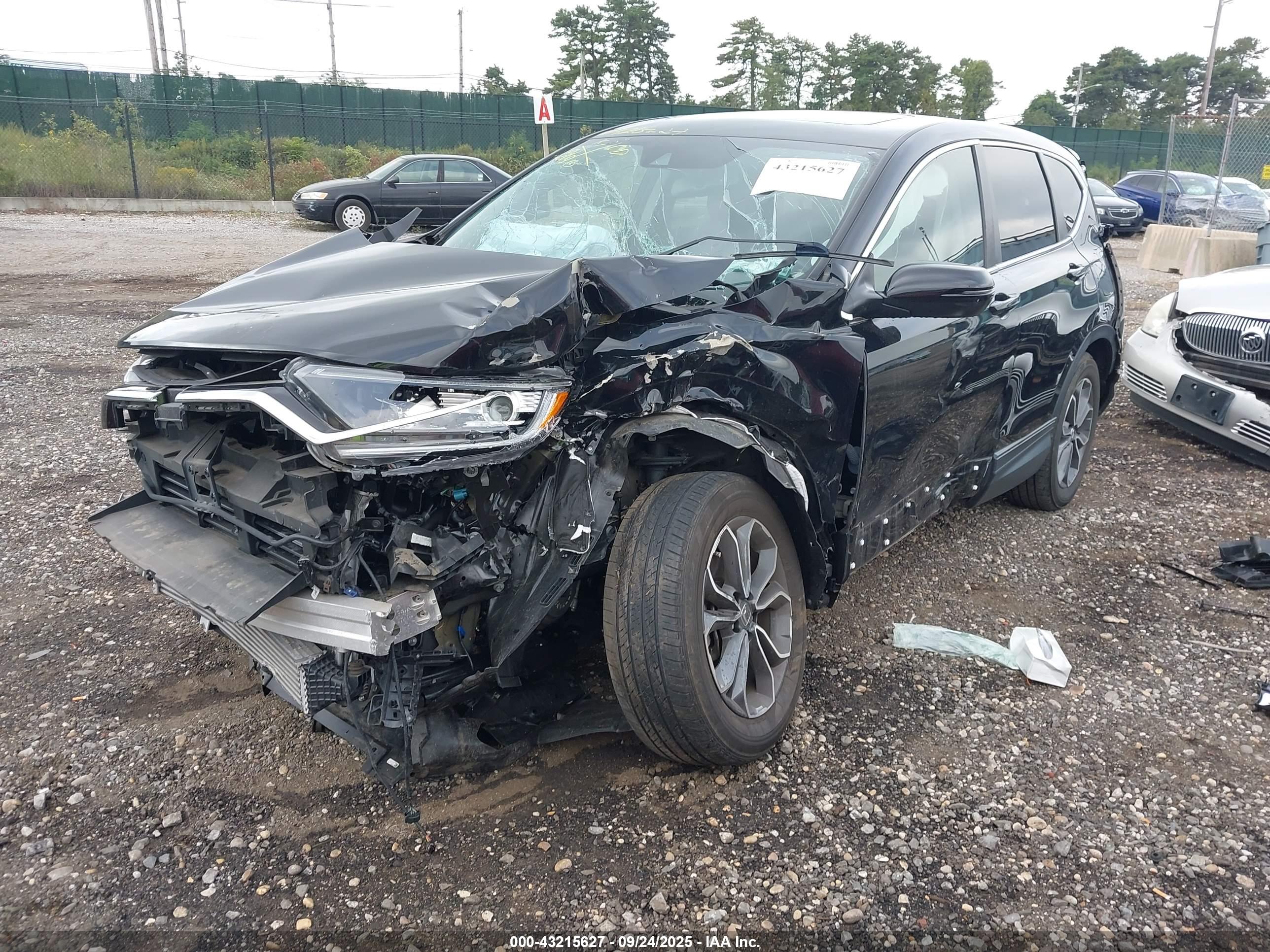 HONDA CR-V image 2