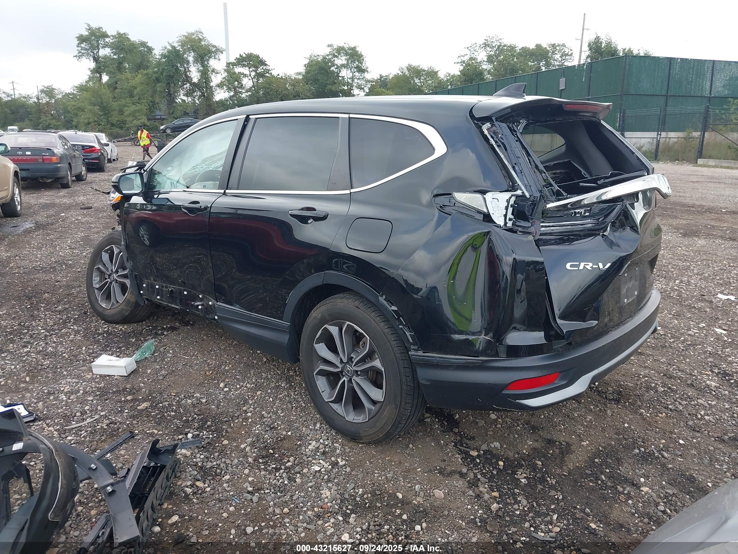 HONDA CR-V image 3