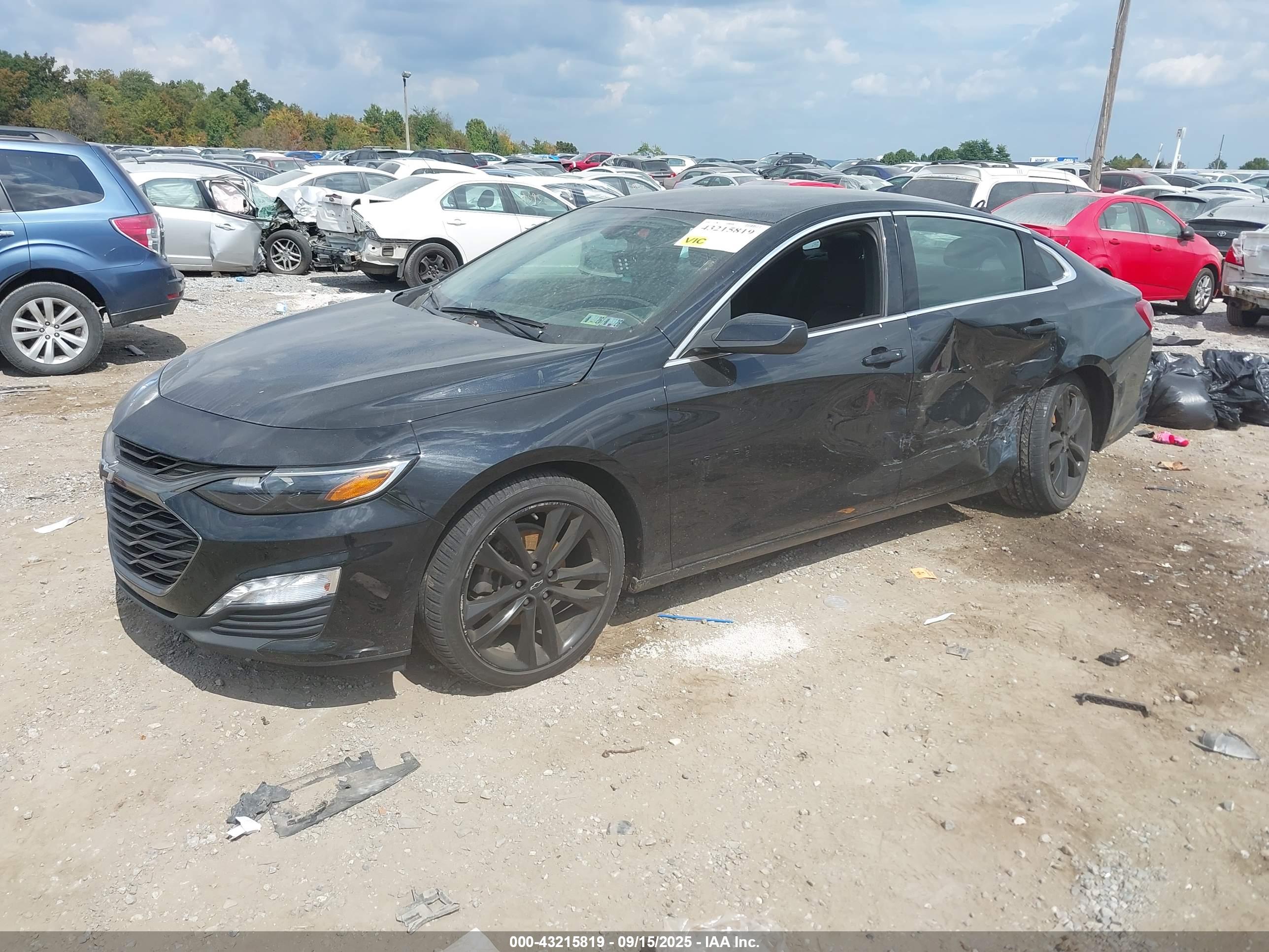 CHEVROLET MALIBU image 2