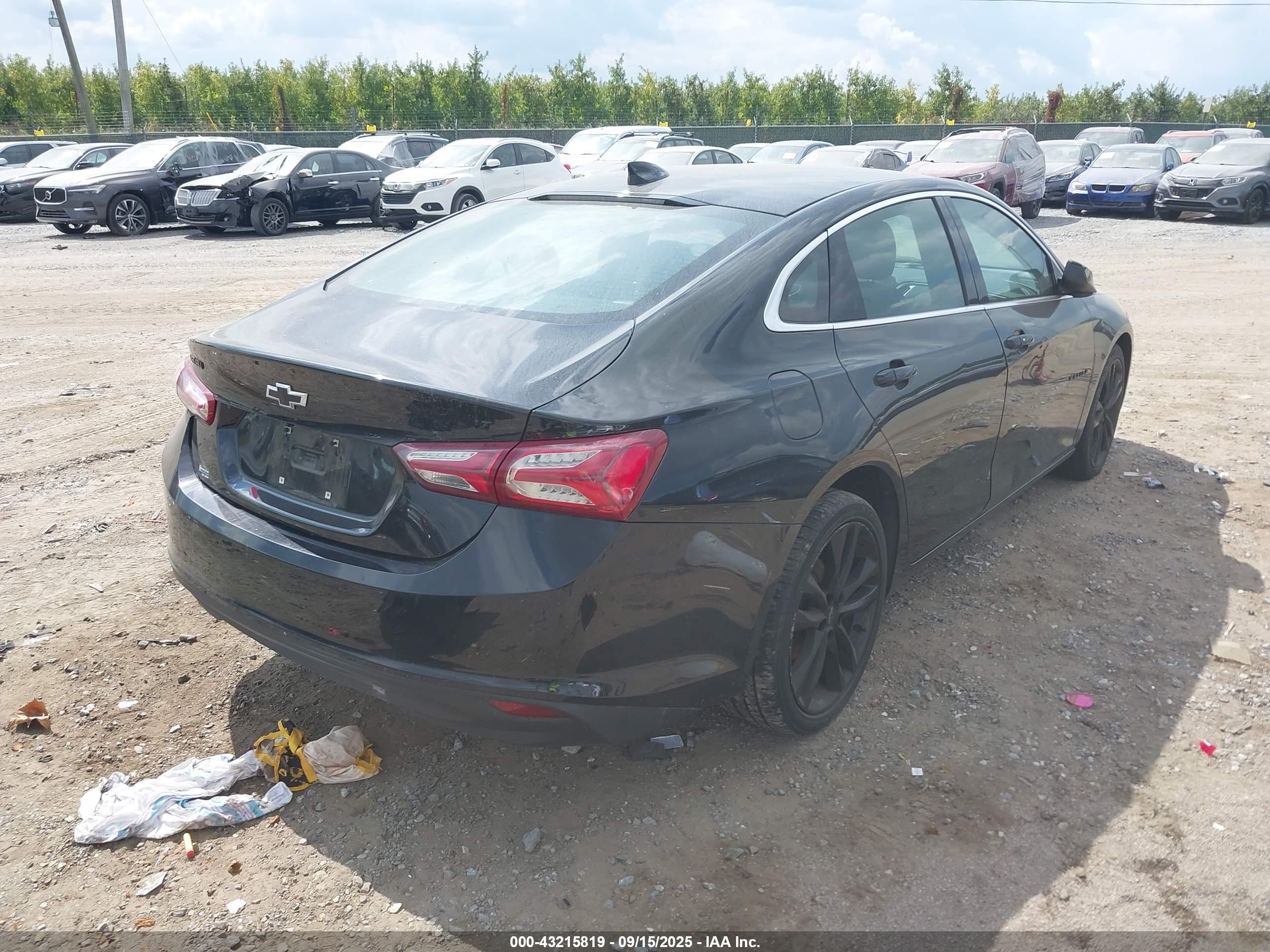CHEVROLET MALIBU image 4