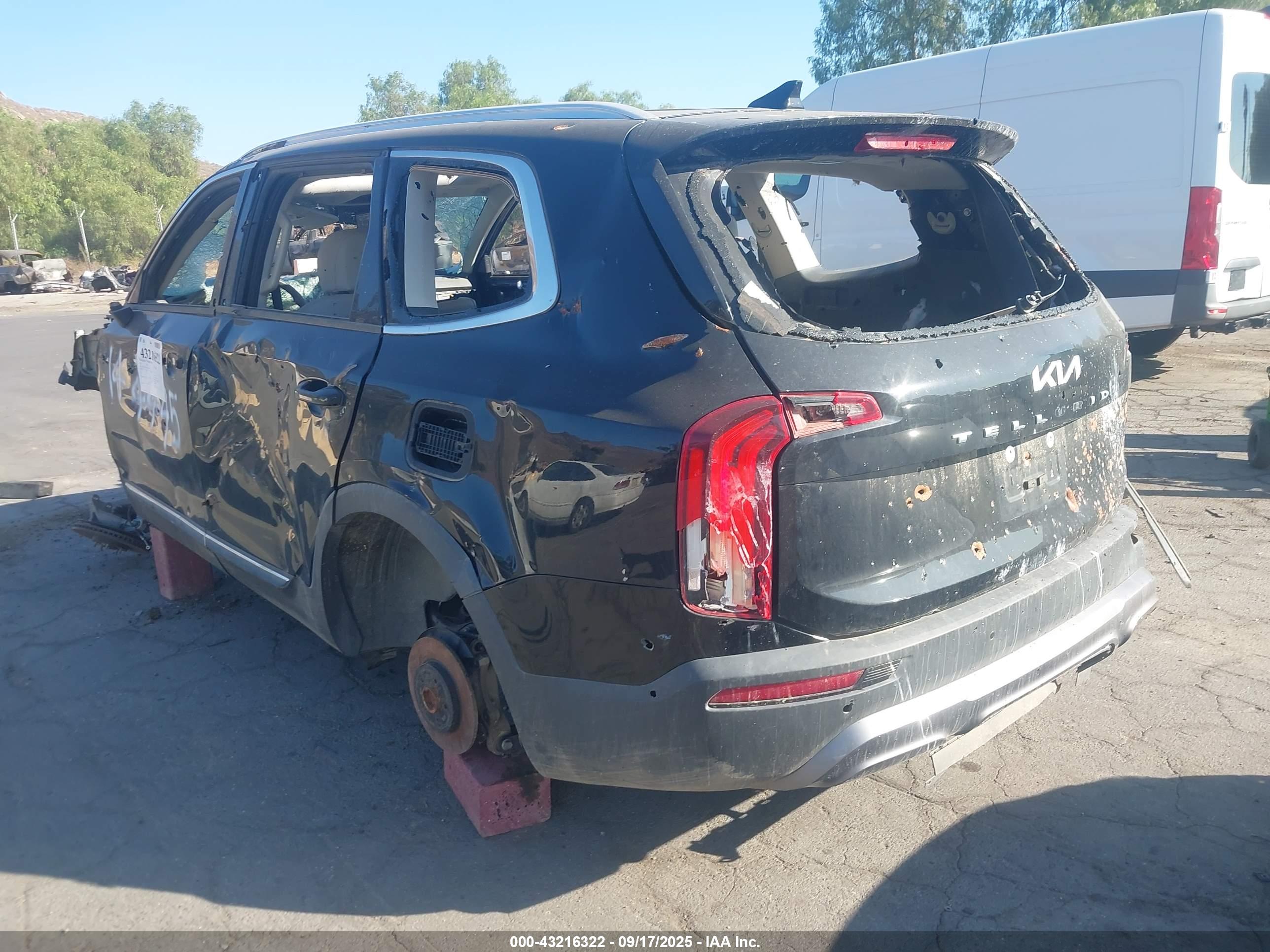 KIA TELLURIDE image 3