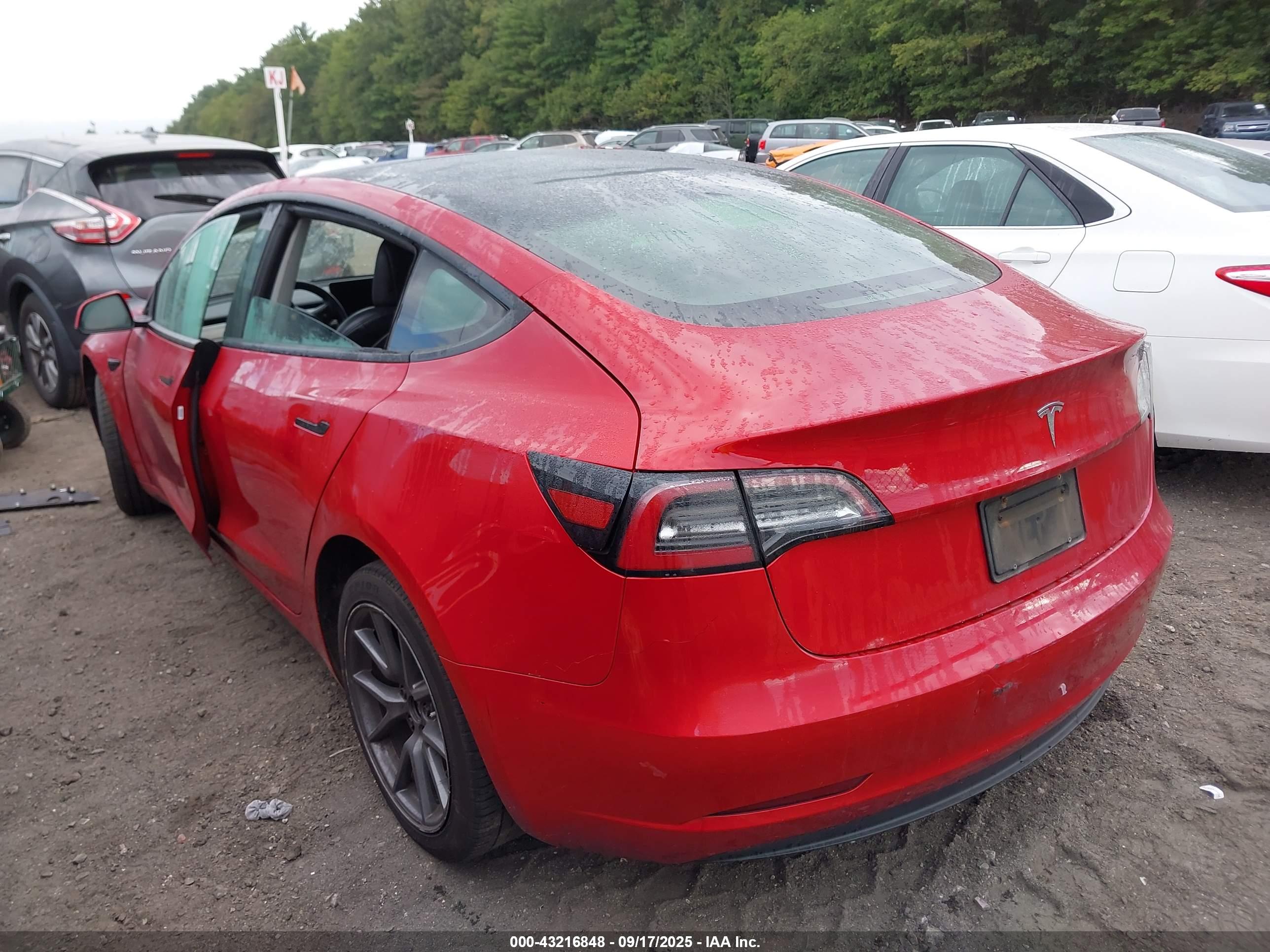 TESLA MODEL image 3