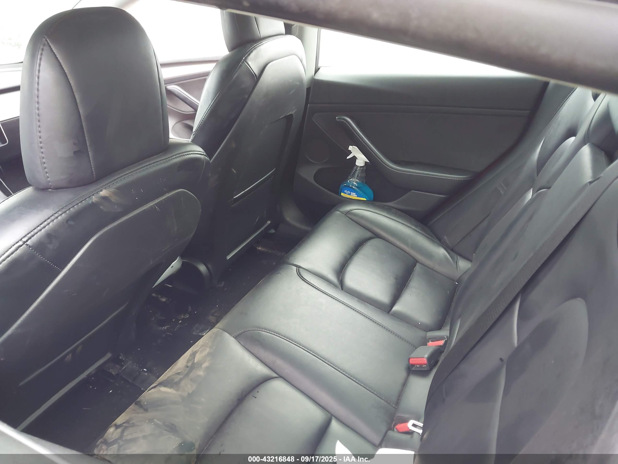 TESLA MODEL image 8
