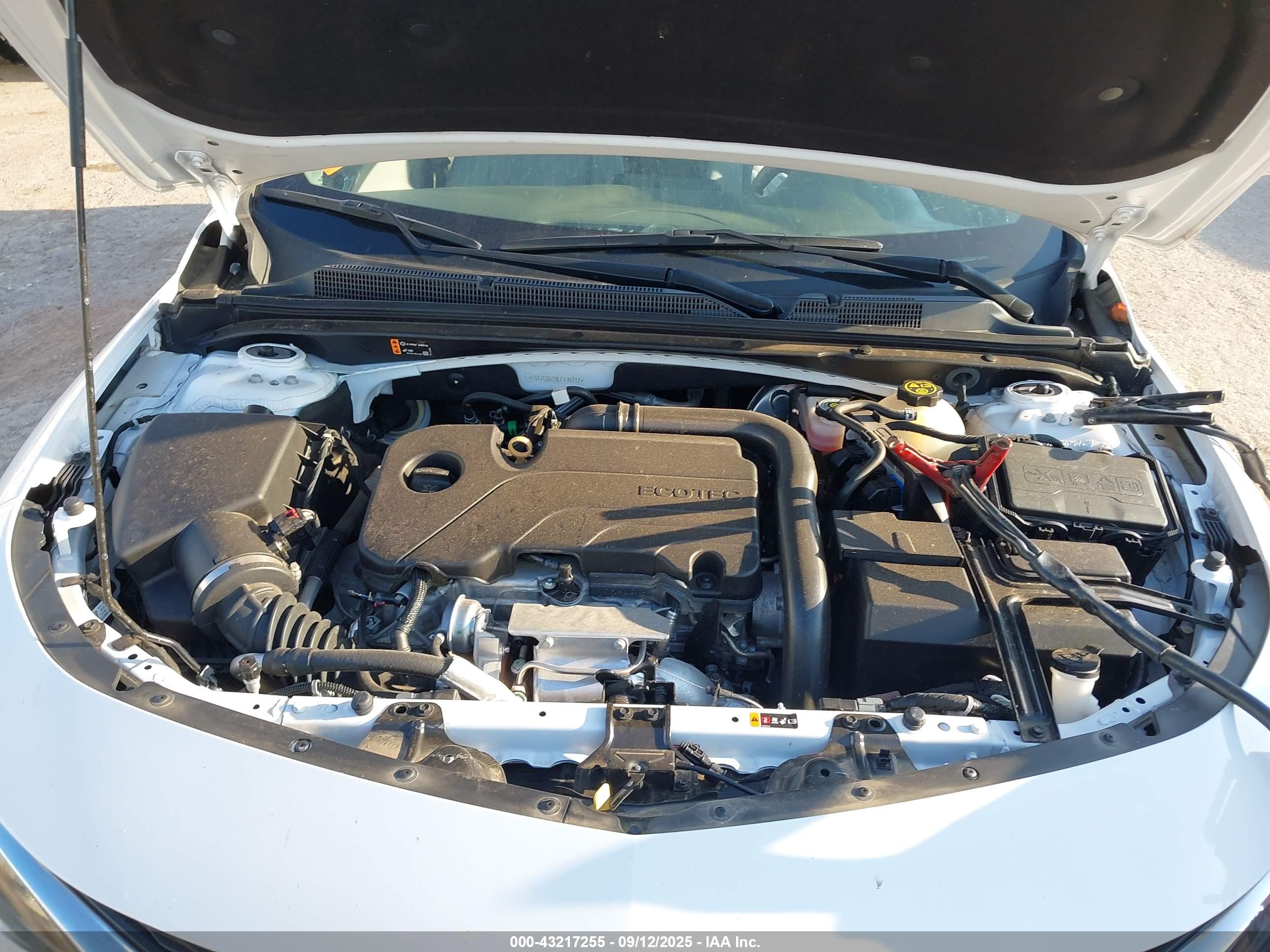 CHEVROLET MALIBU image 10