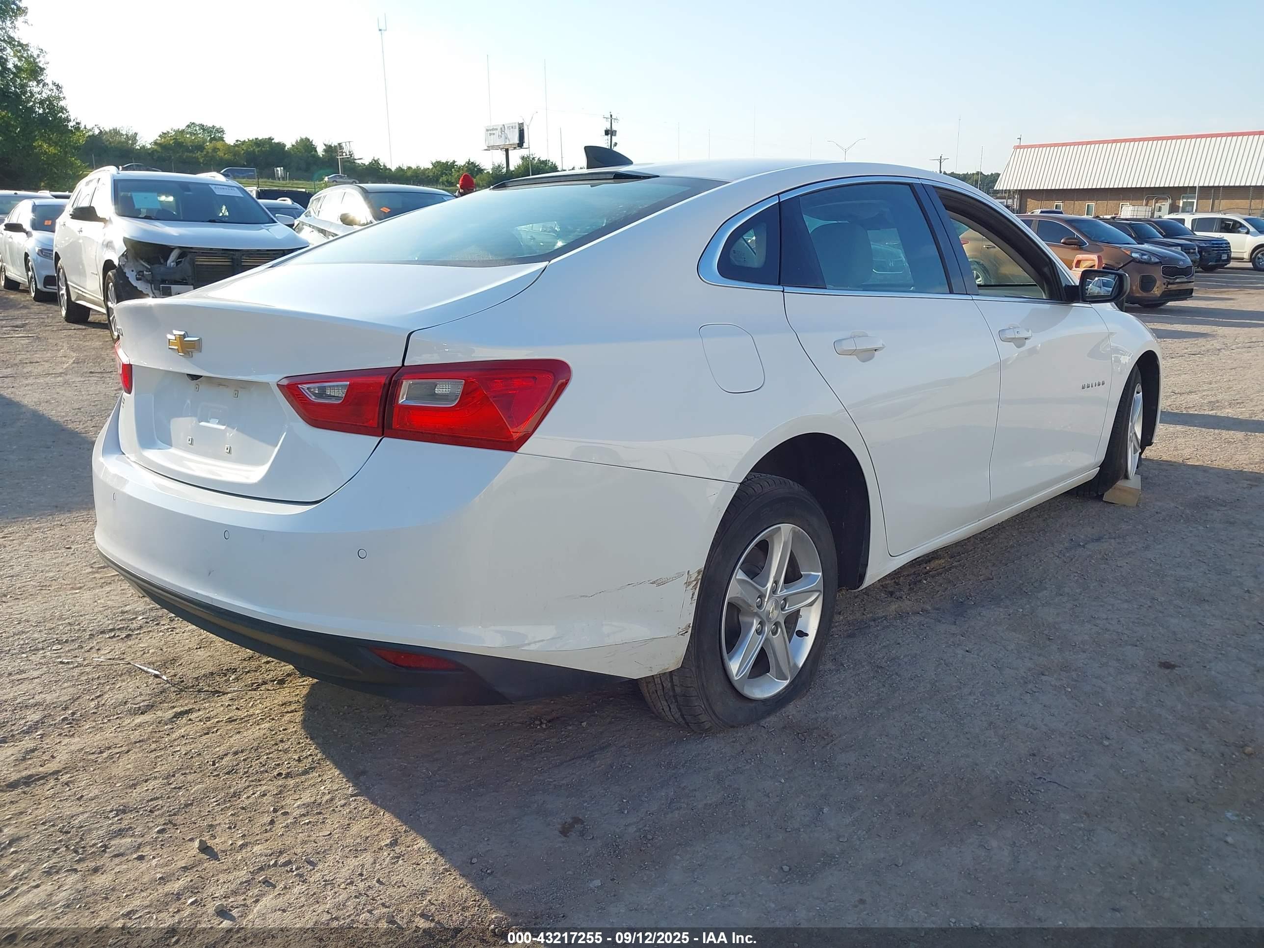 CHEVROLET MALIBU image 4