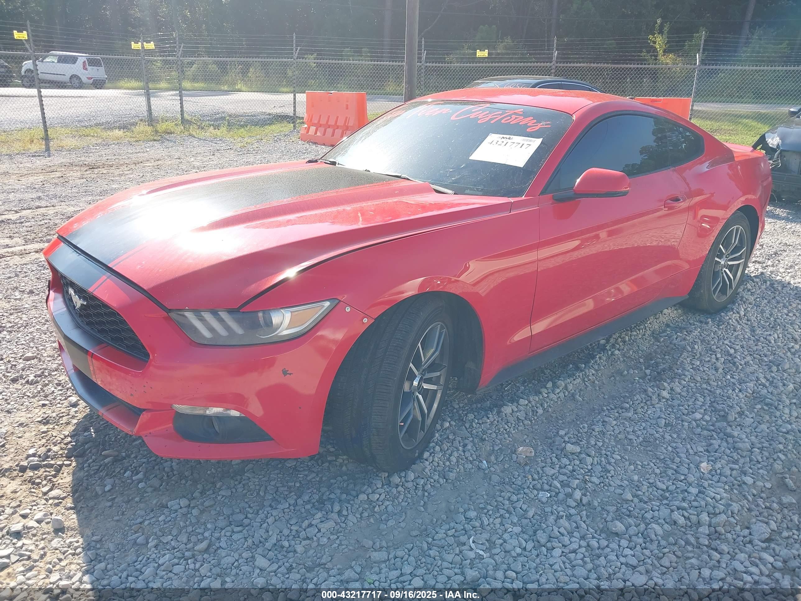 FORD MUSTANG image 2