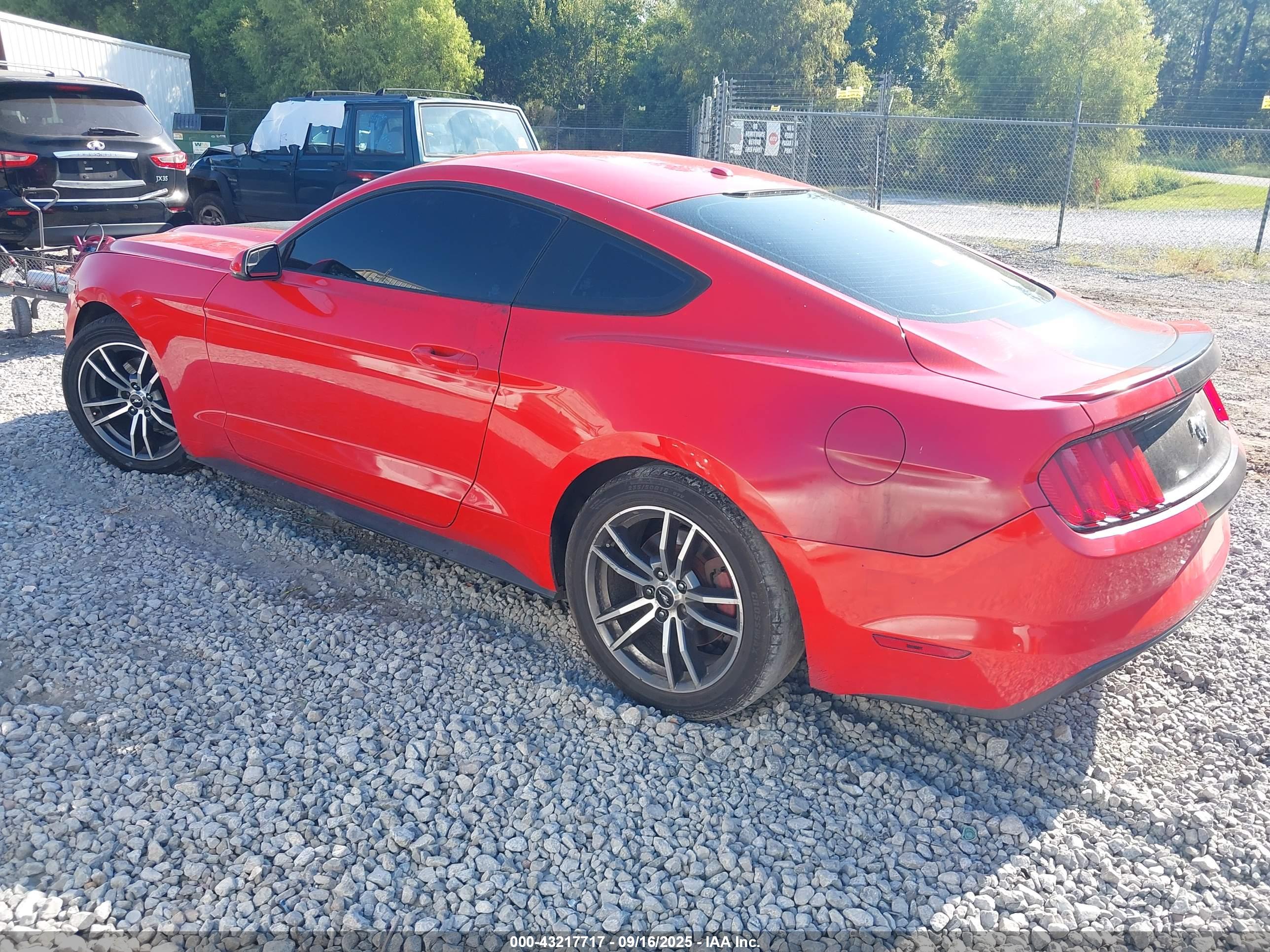 FORD MUSTANG image 3