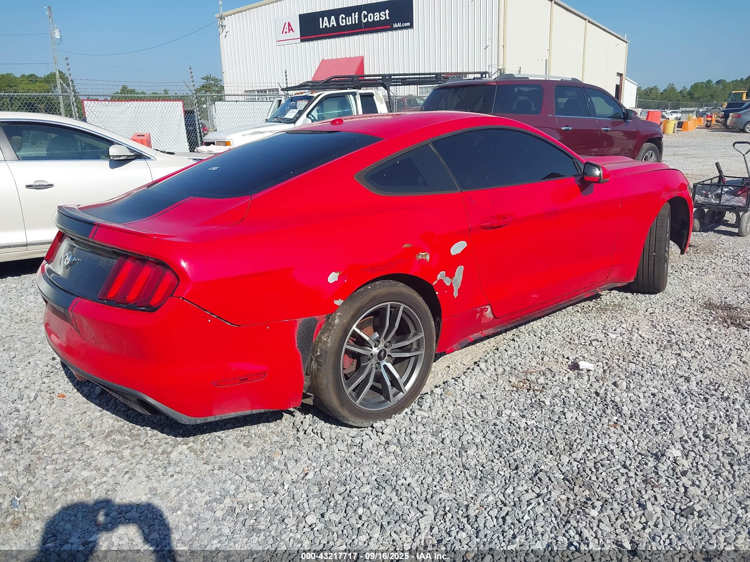 FORD MUSTANG image 4