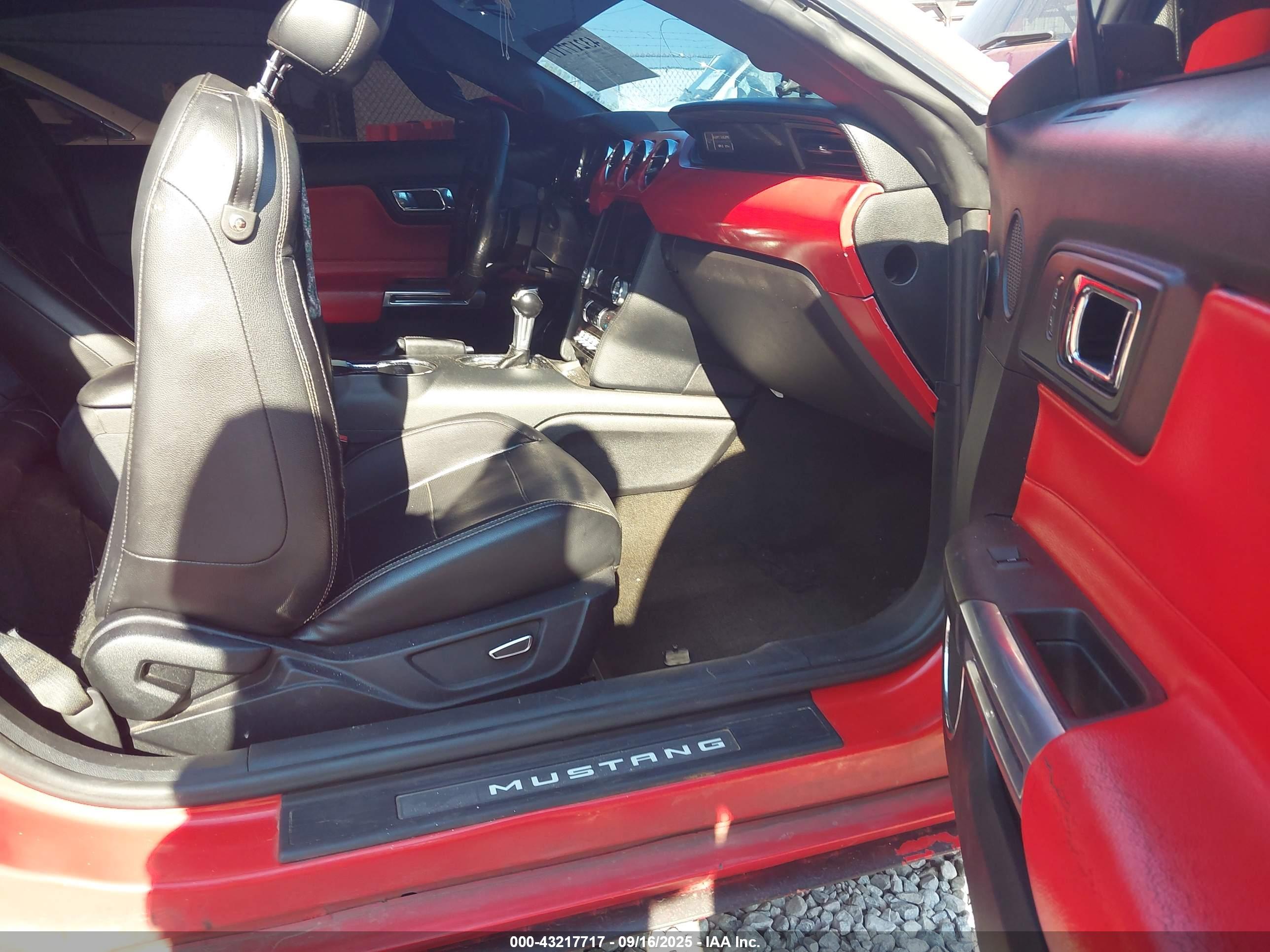 FORD MUSTANG image 5
