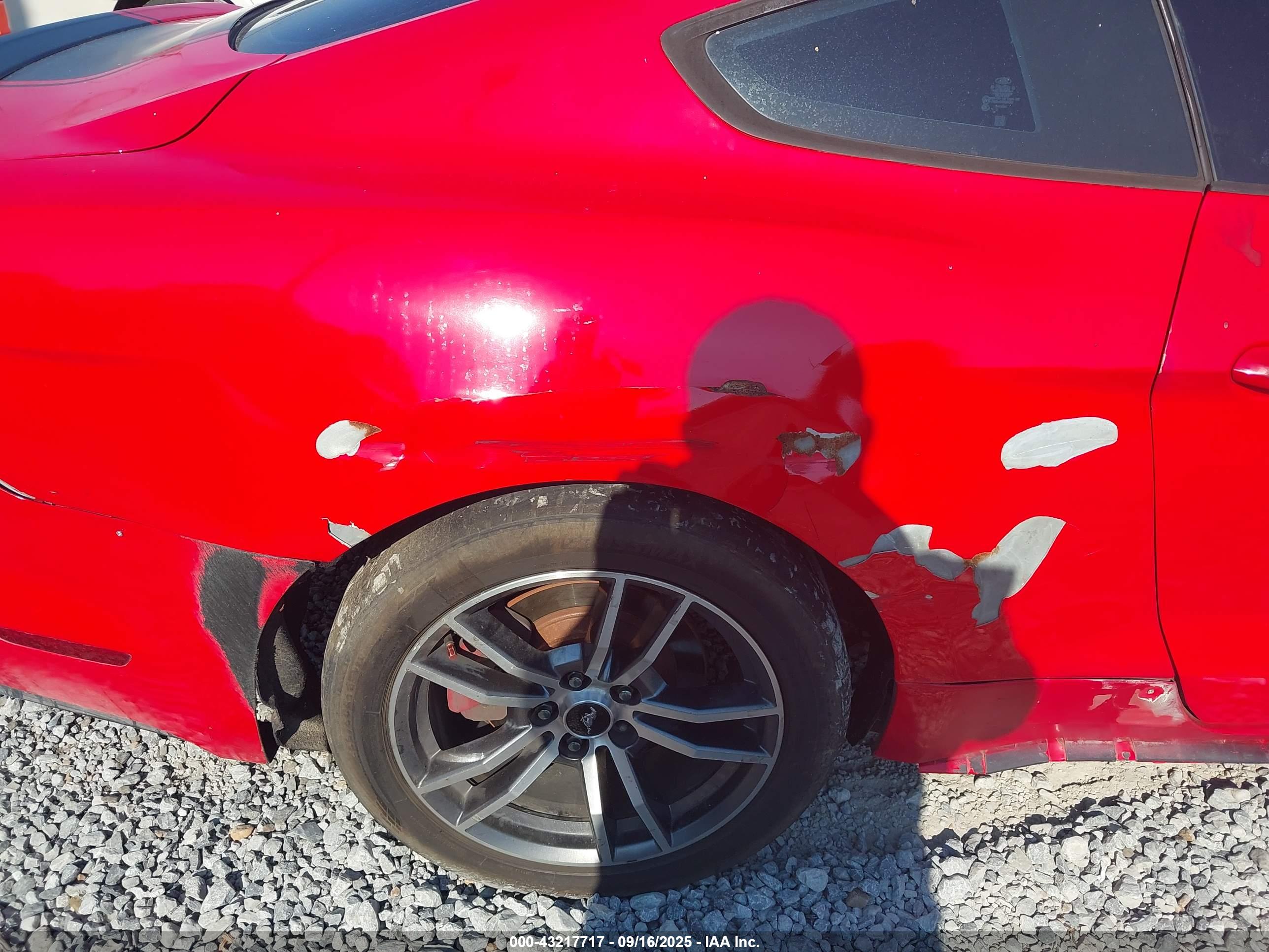 FORD MUSTANG image 6