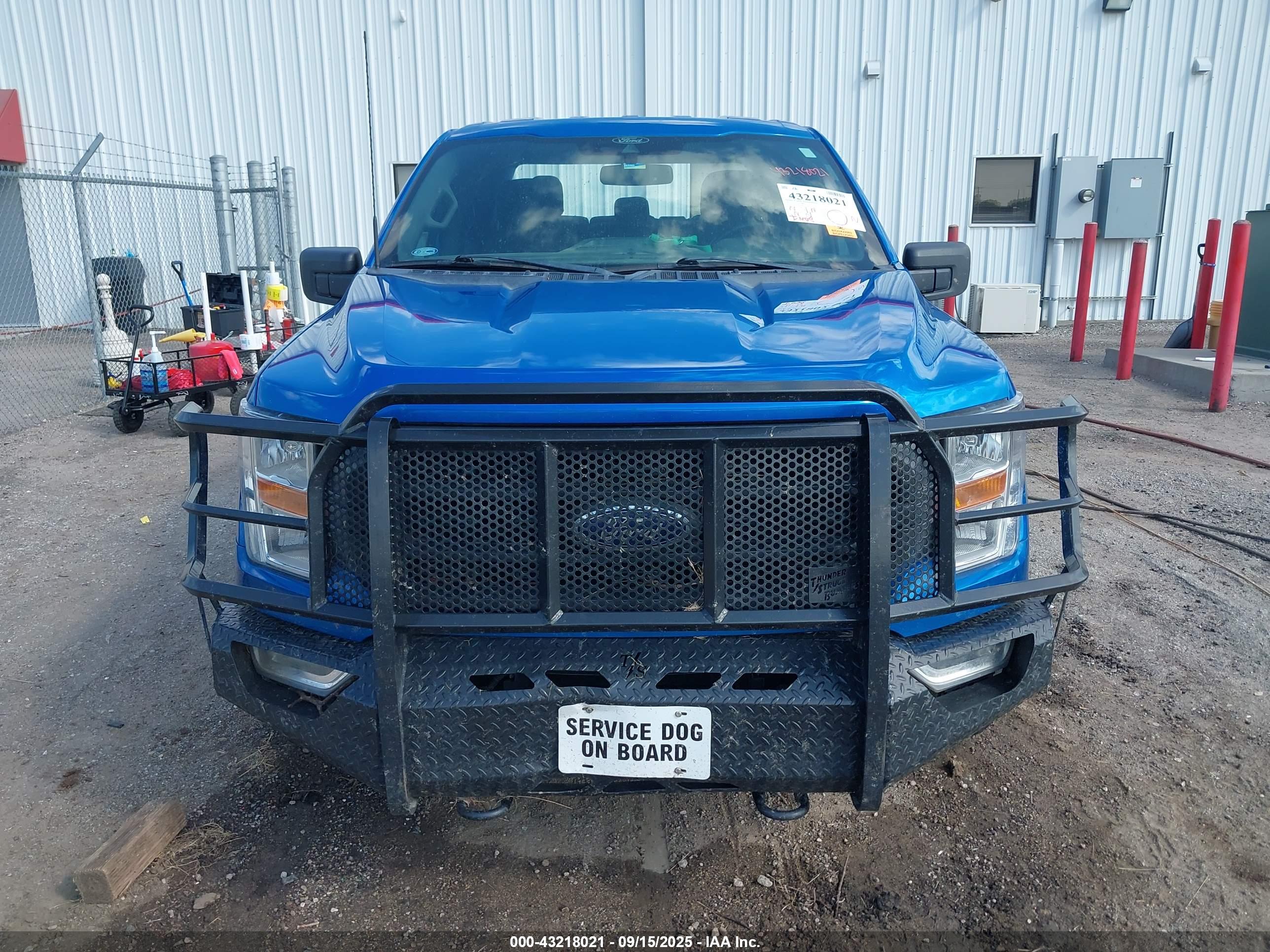 FORD F-150 image 6