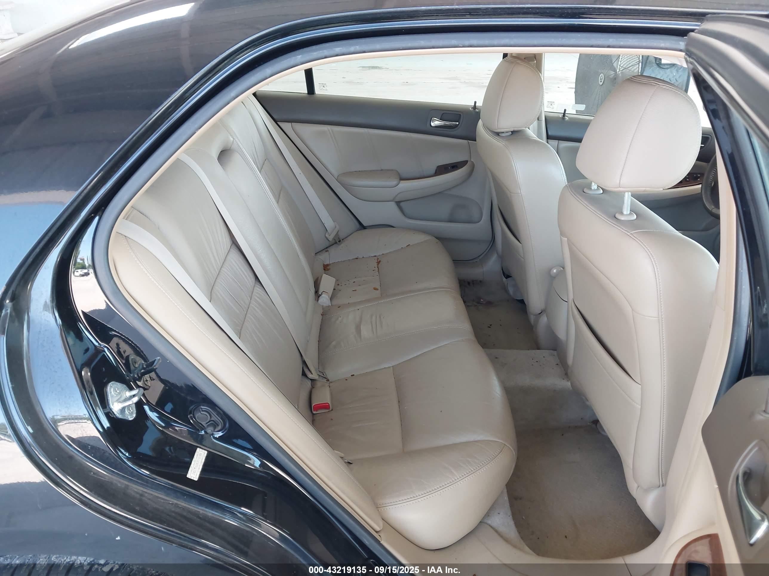 HONDA ACCORD image 8