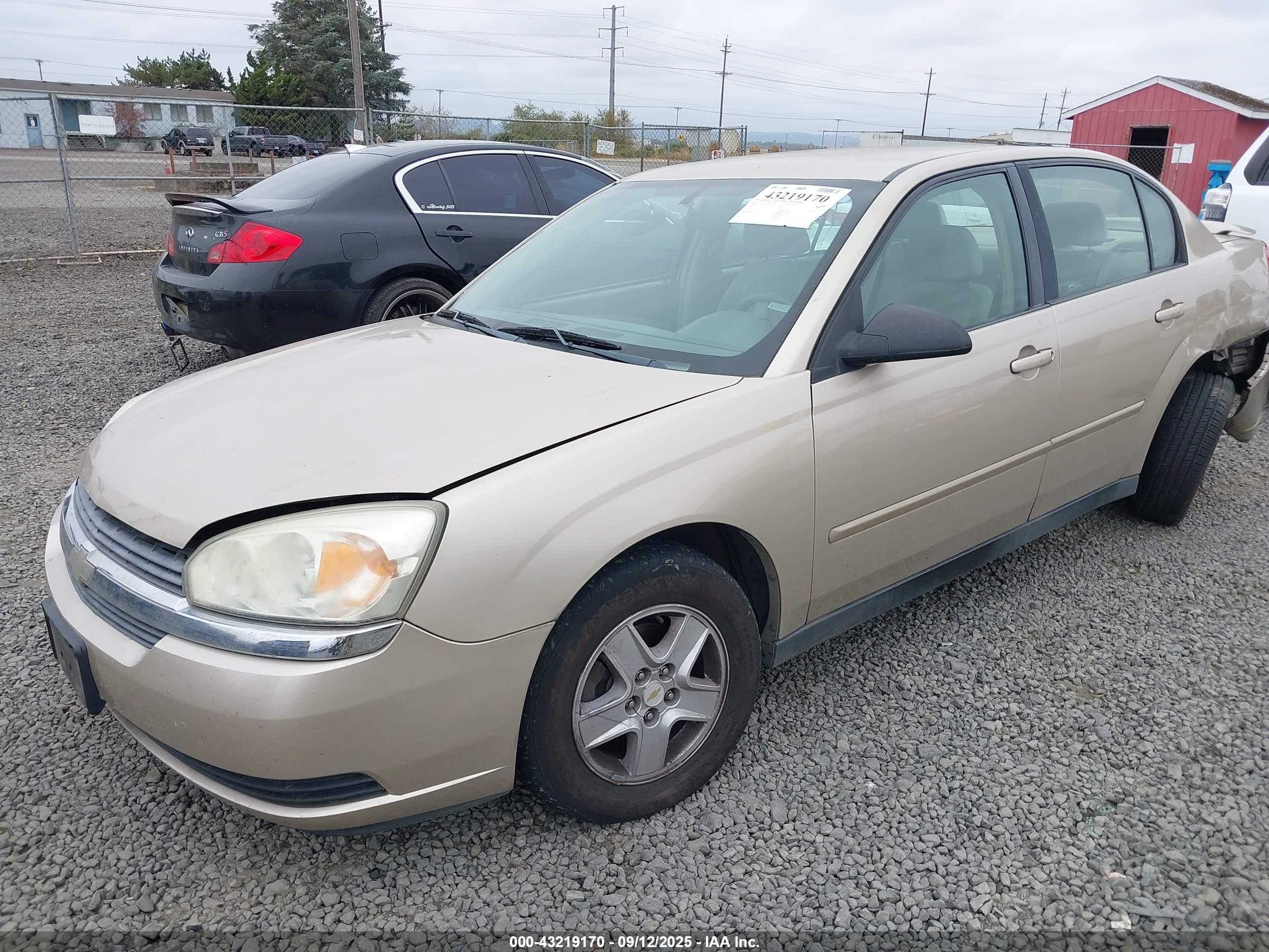 CHEVROLET MALIBU image 2