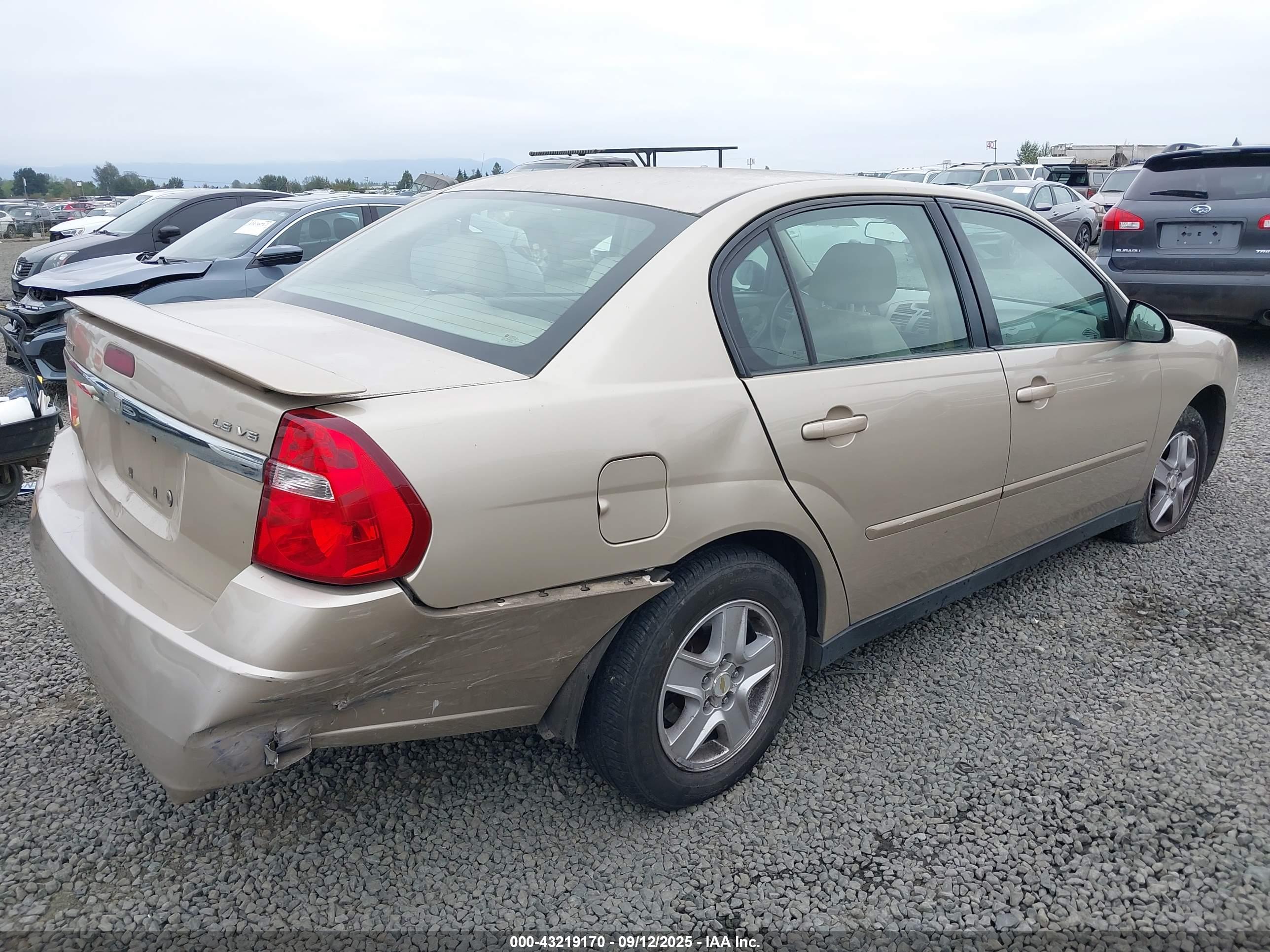 CHEVROLET MALIBU image 4