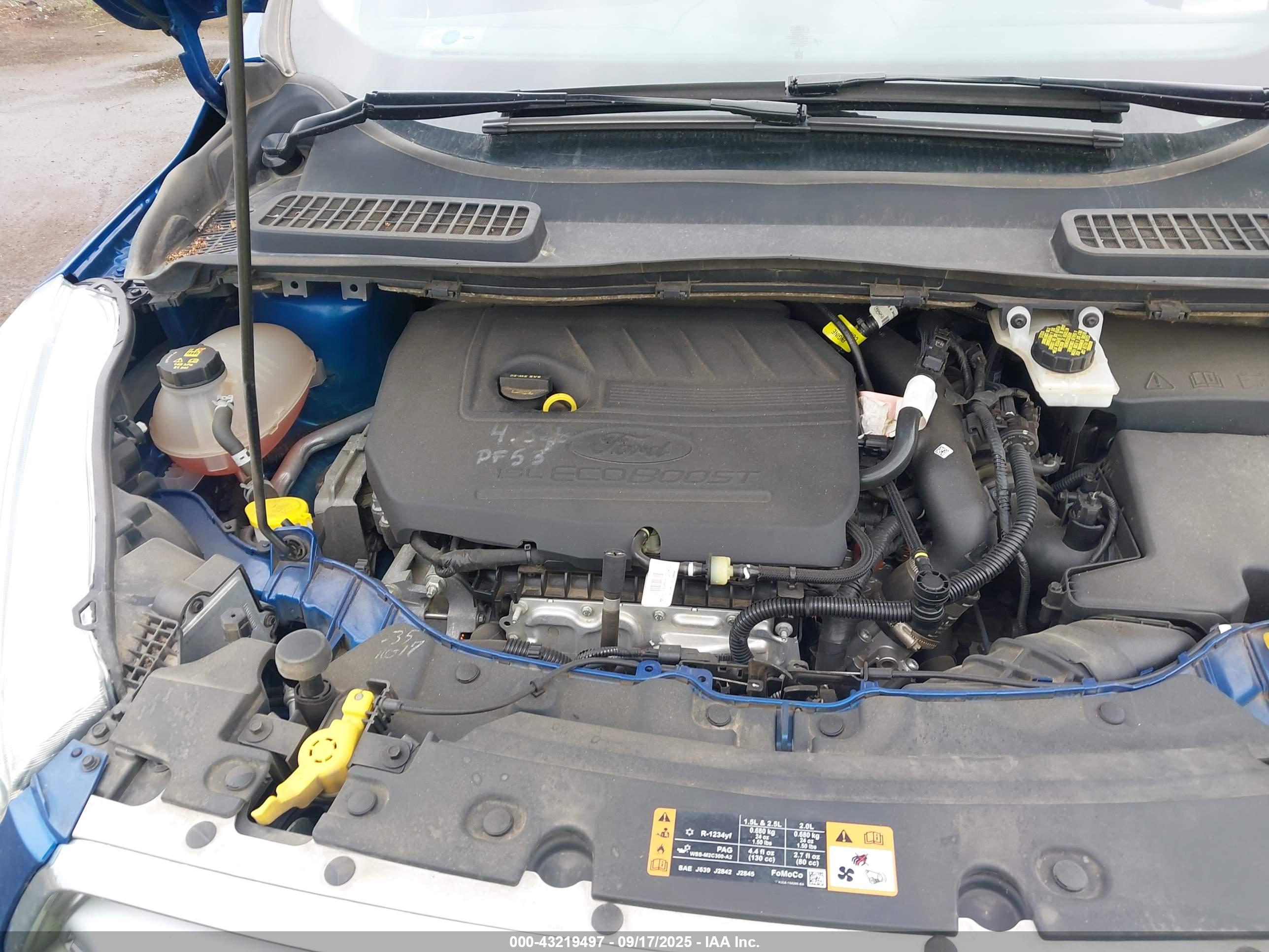 FORD ESCAPE image 10
