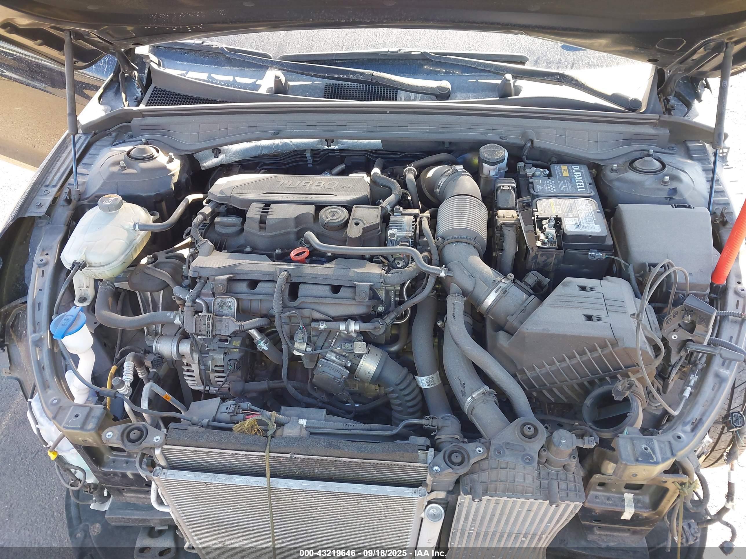 KIA K5 image 10