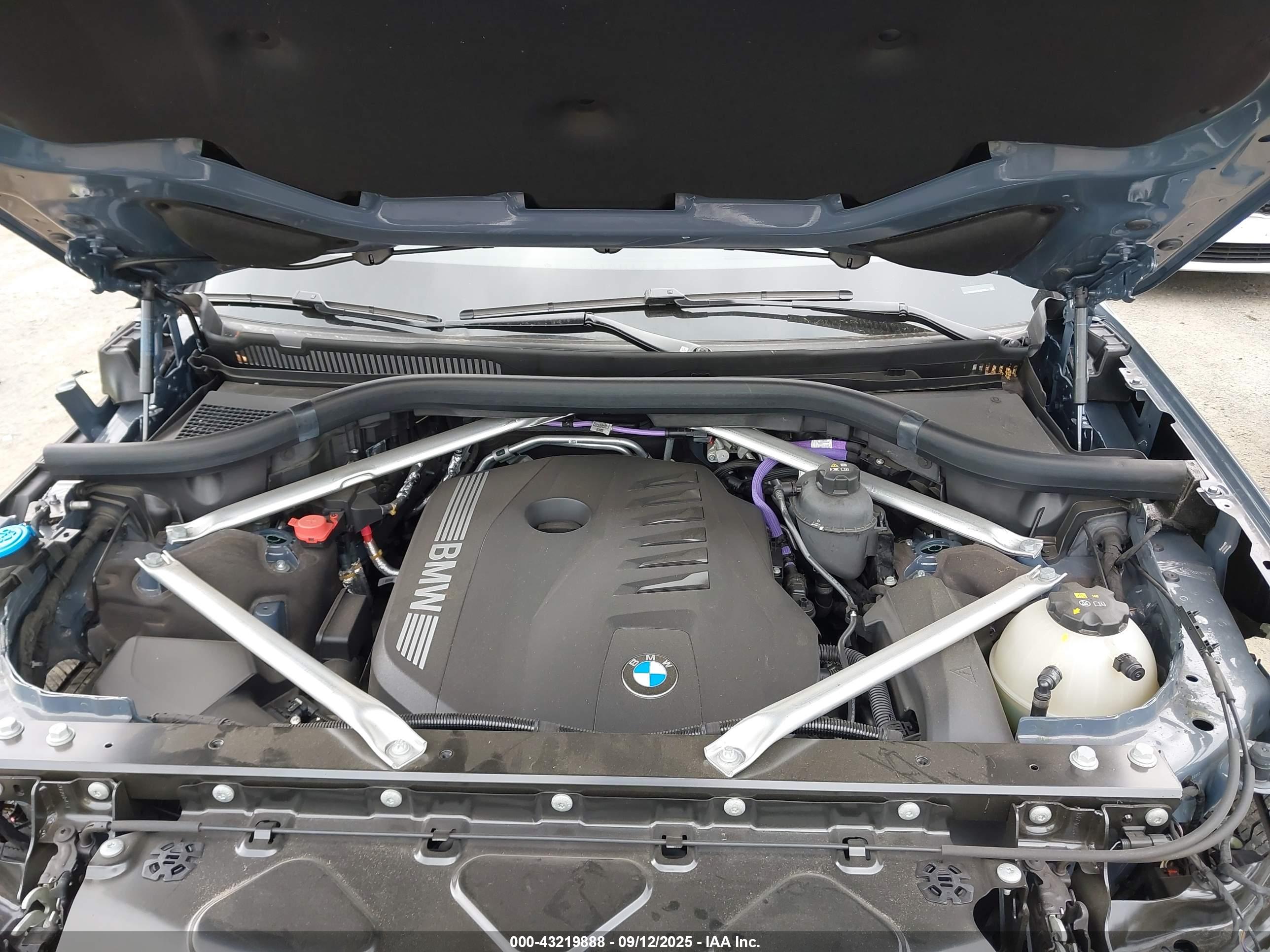 BMW X7 image 10