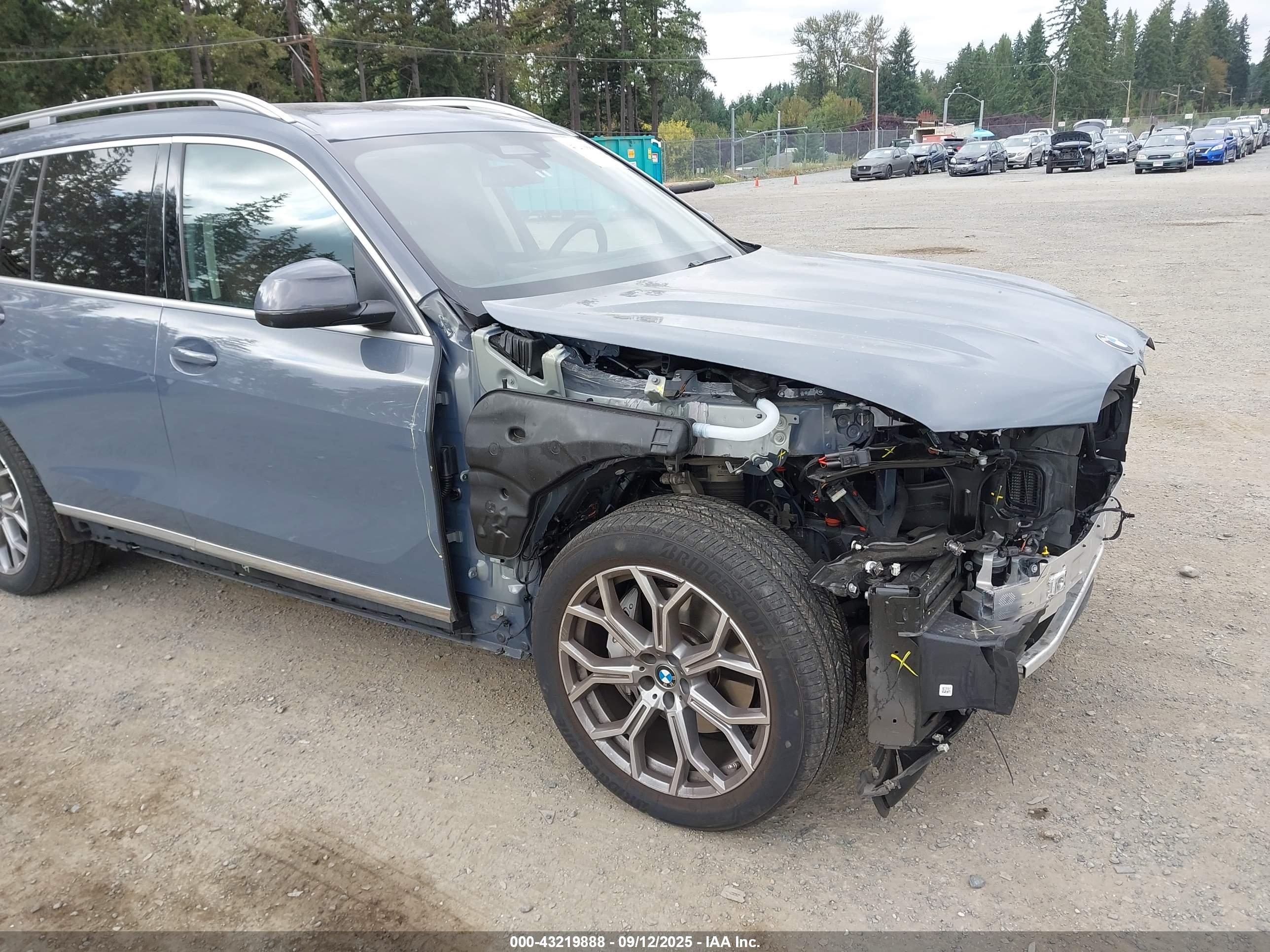 BMW X7 image 6
