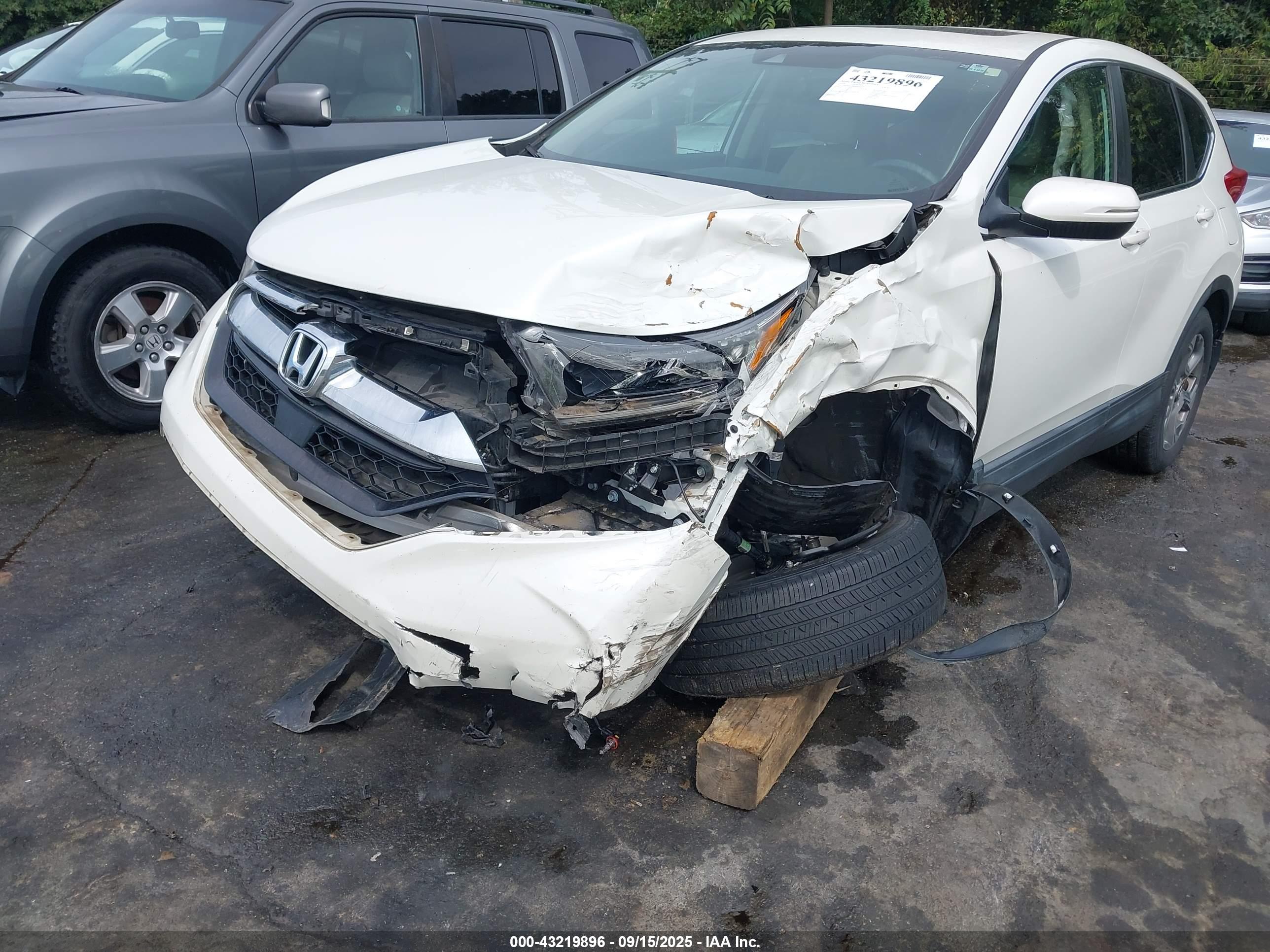 HONDA CR-V image 6