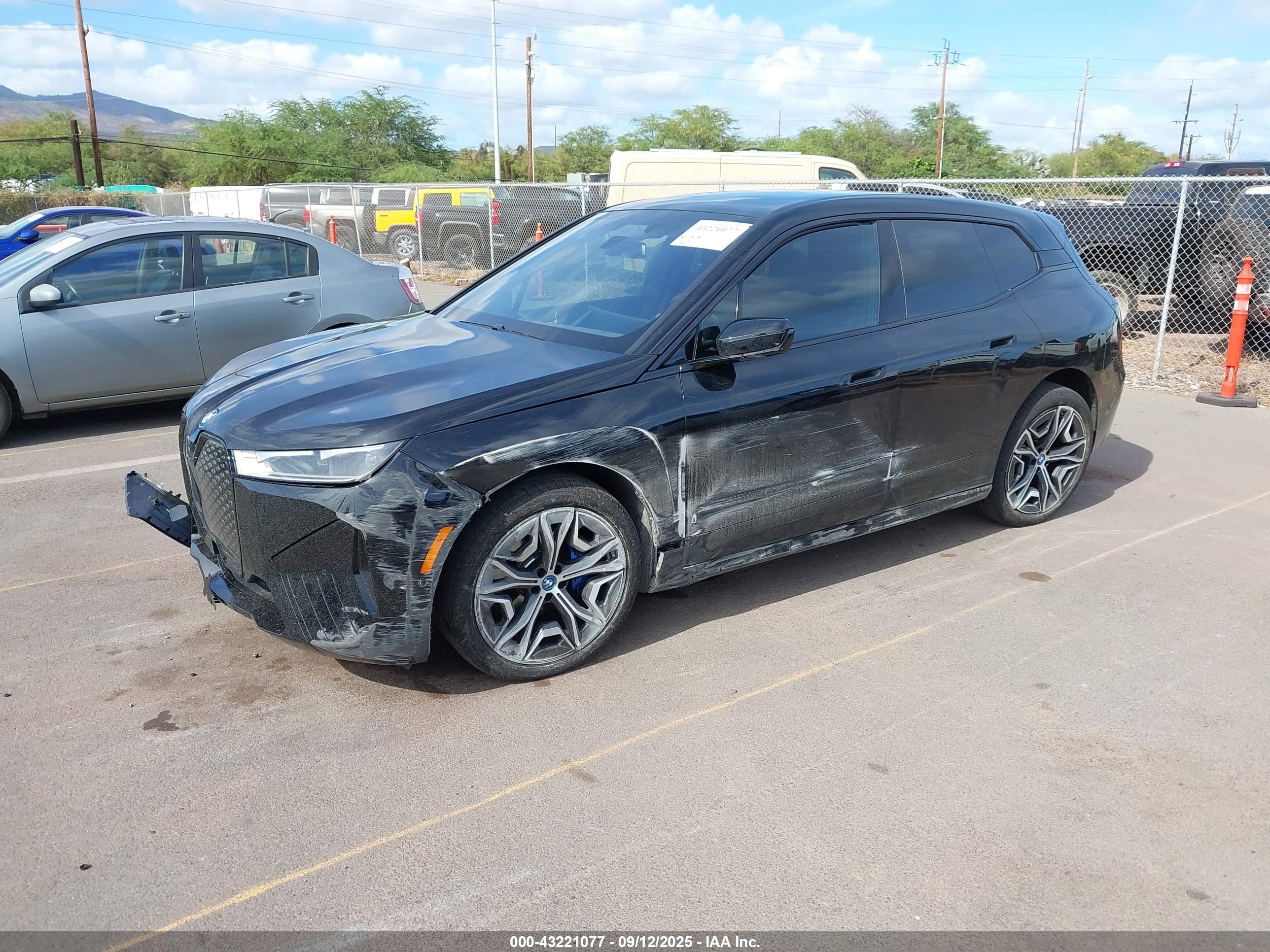 BMW IX image 2
