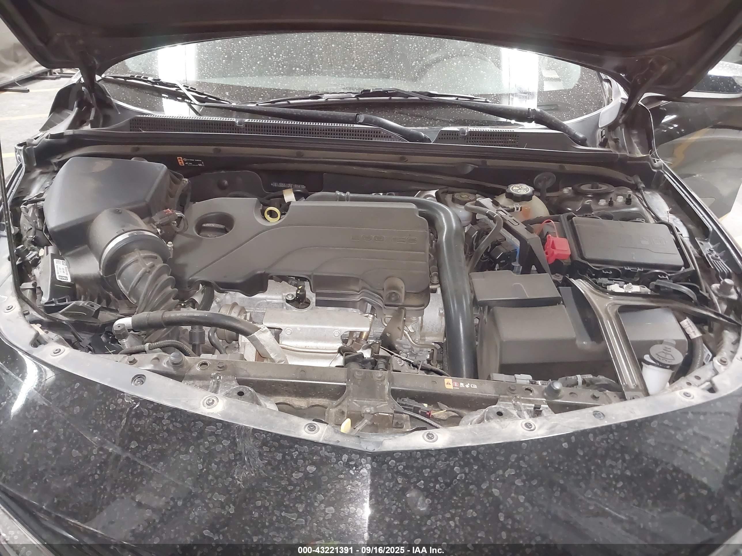 CHEVROLET MALIBU image 10