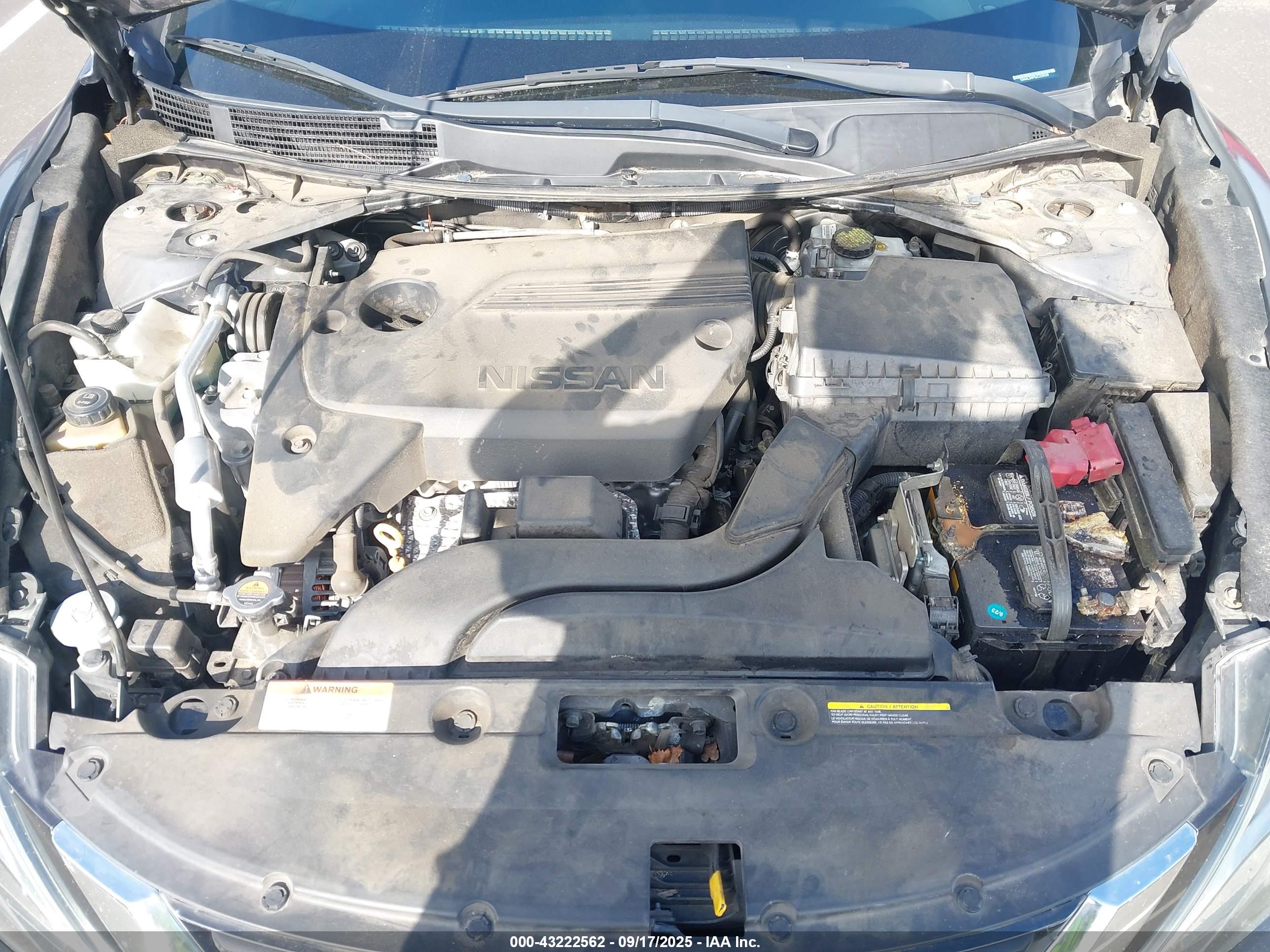 NISSAN ALTIMA image 10