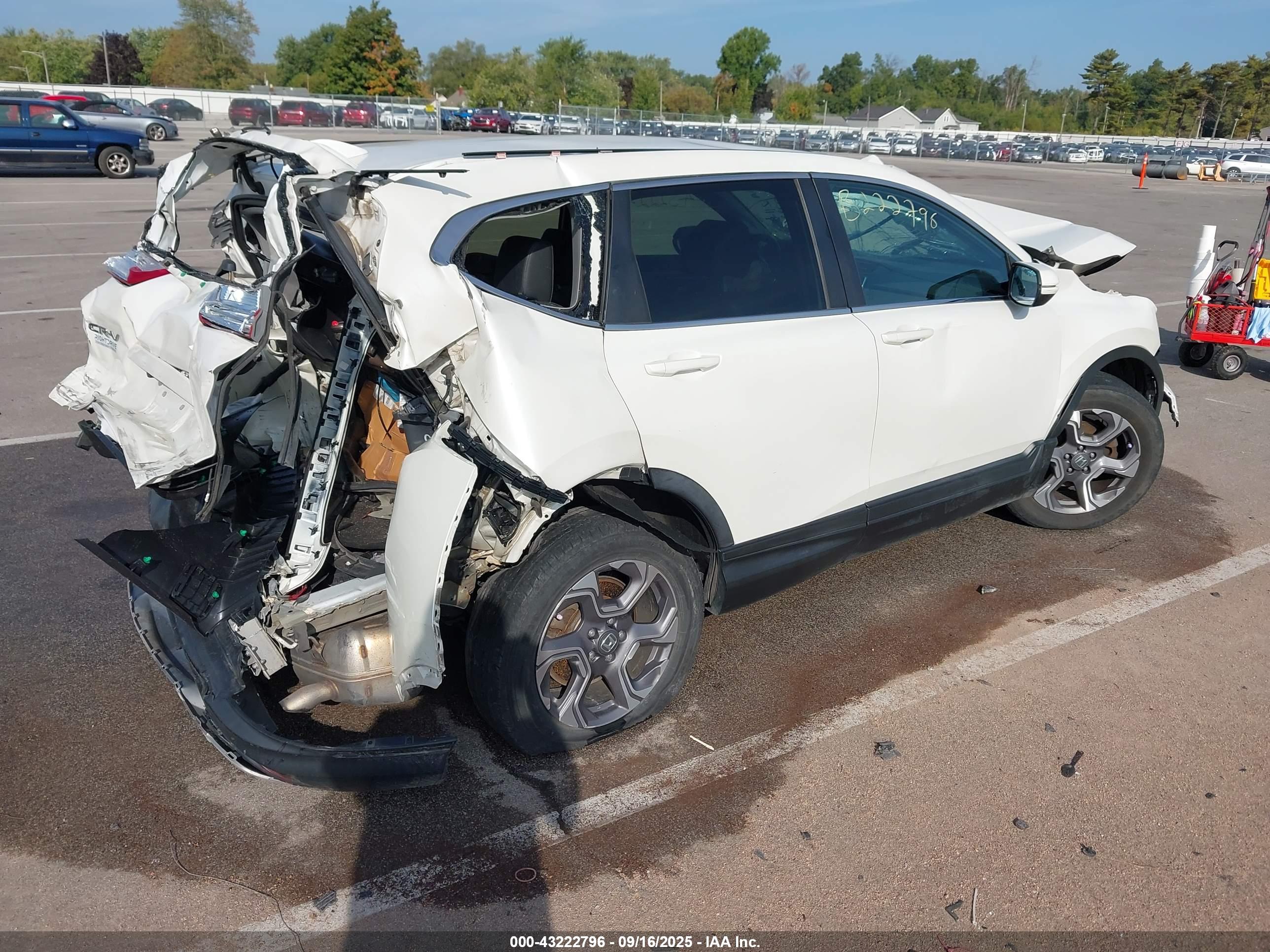 HONDA CR-V image 4