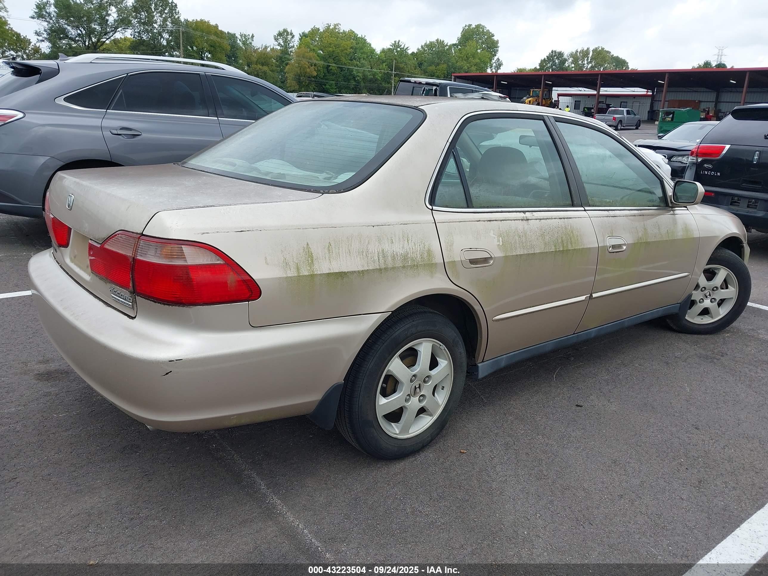 HONDA ACCORD image 4