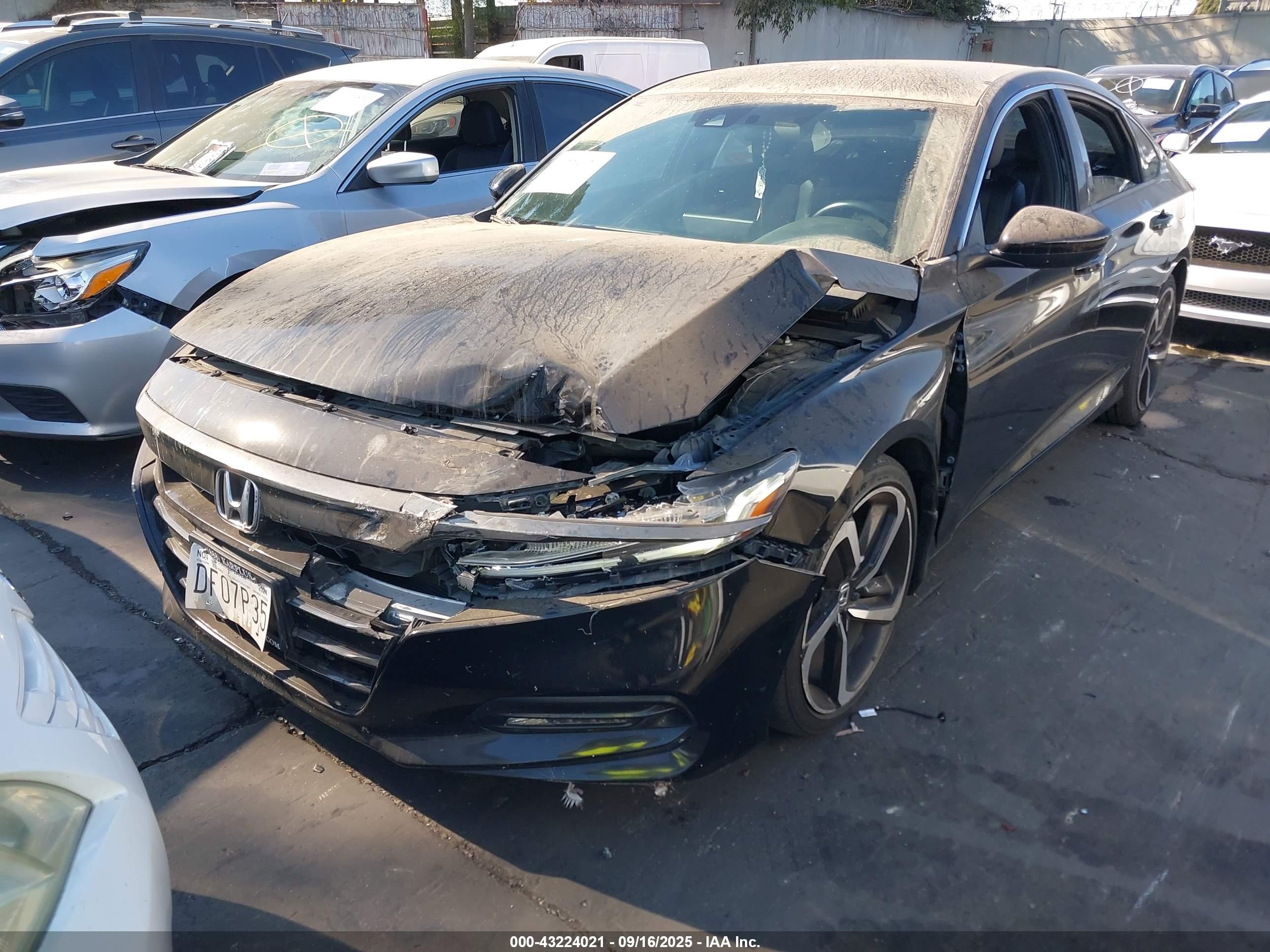 HONDA ACCORD image 6