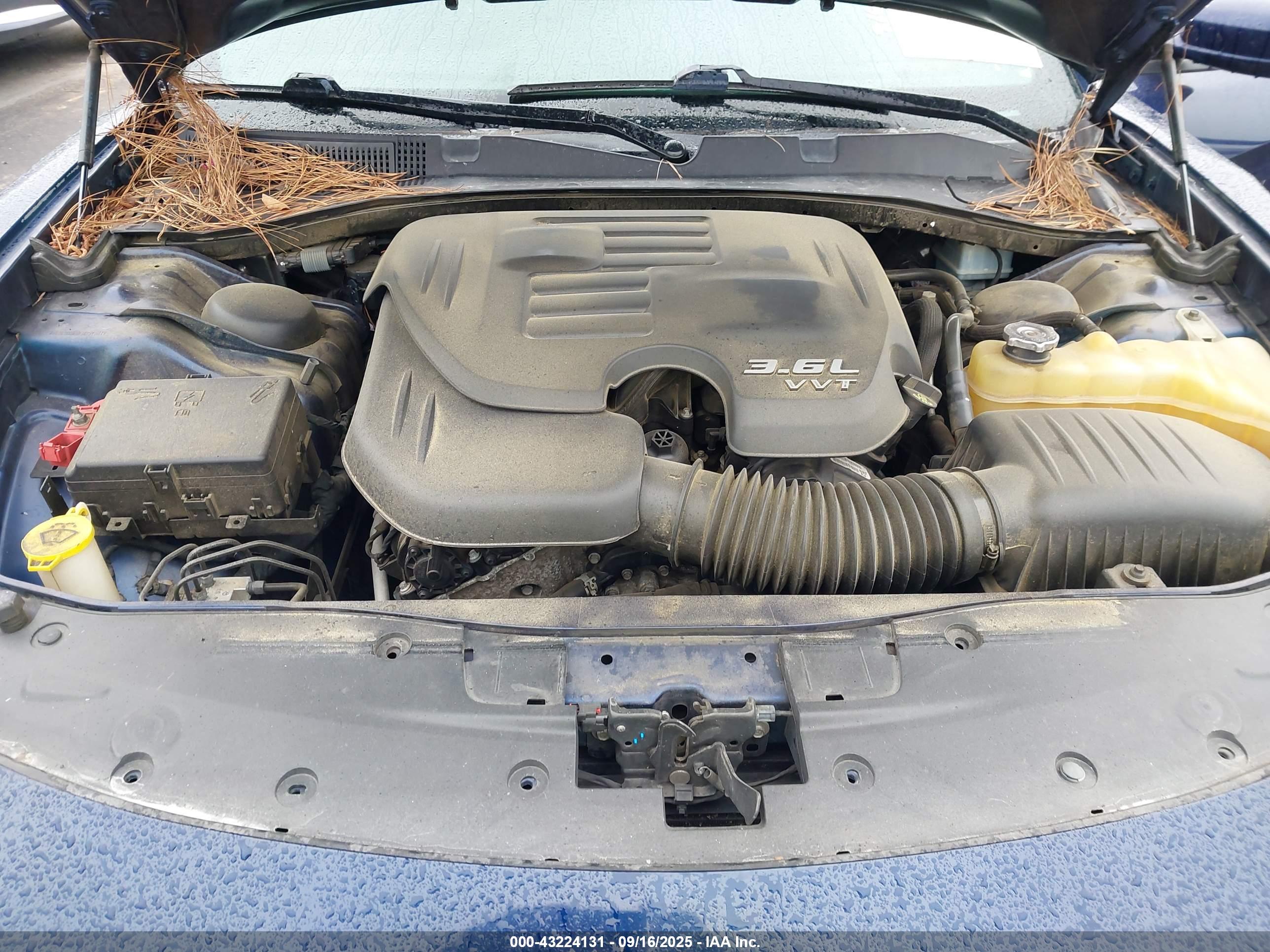 DODGE CHARGER image 10