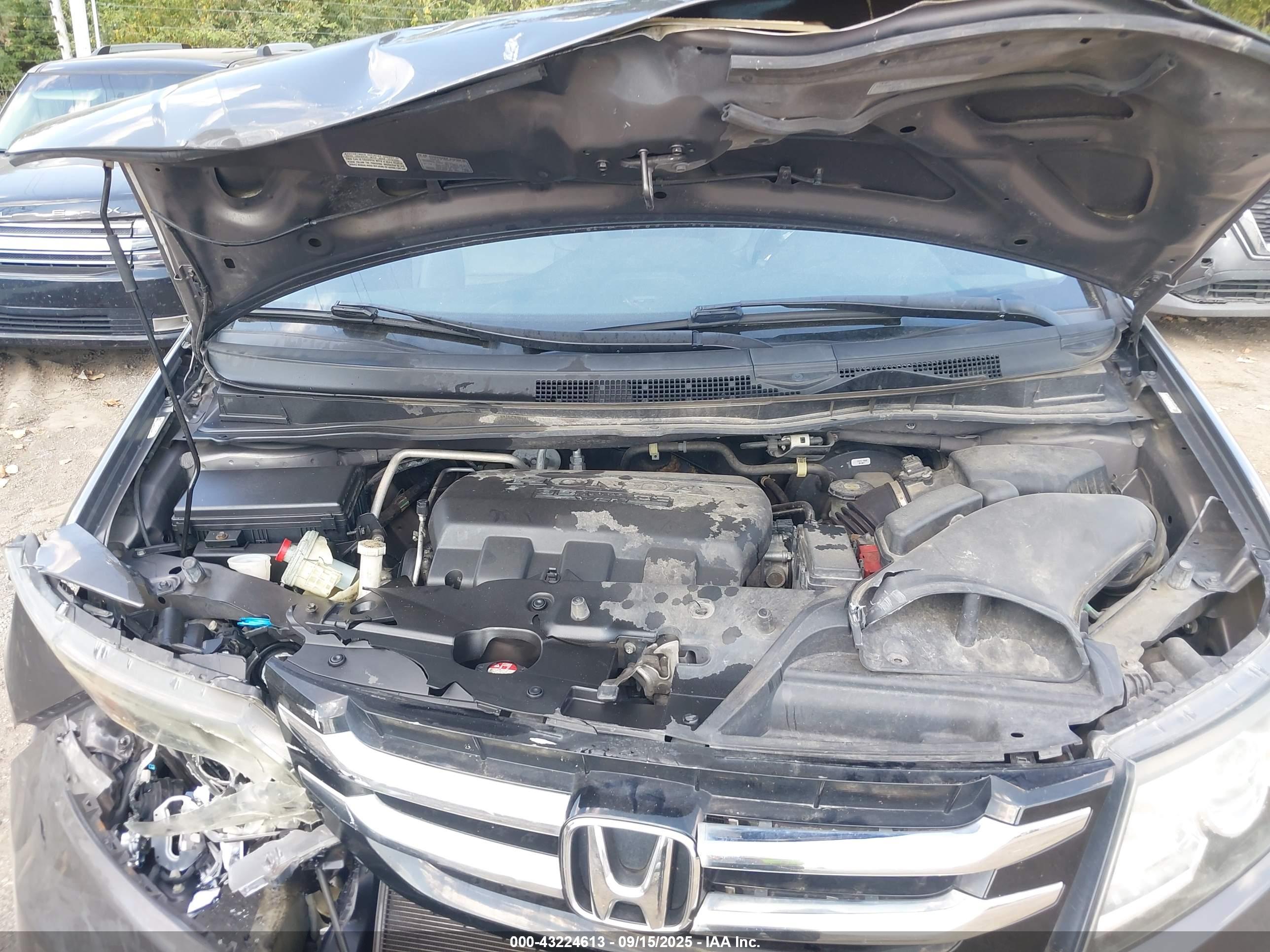 HONDA ODYSSEY image 10
