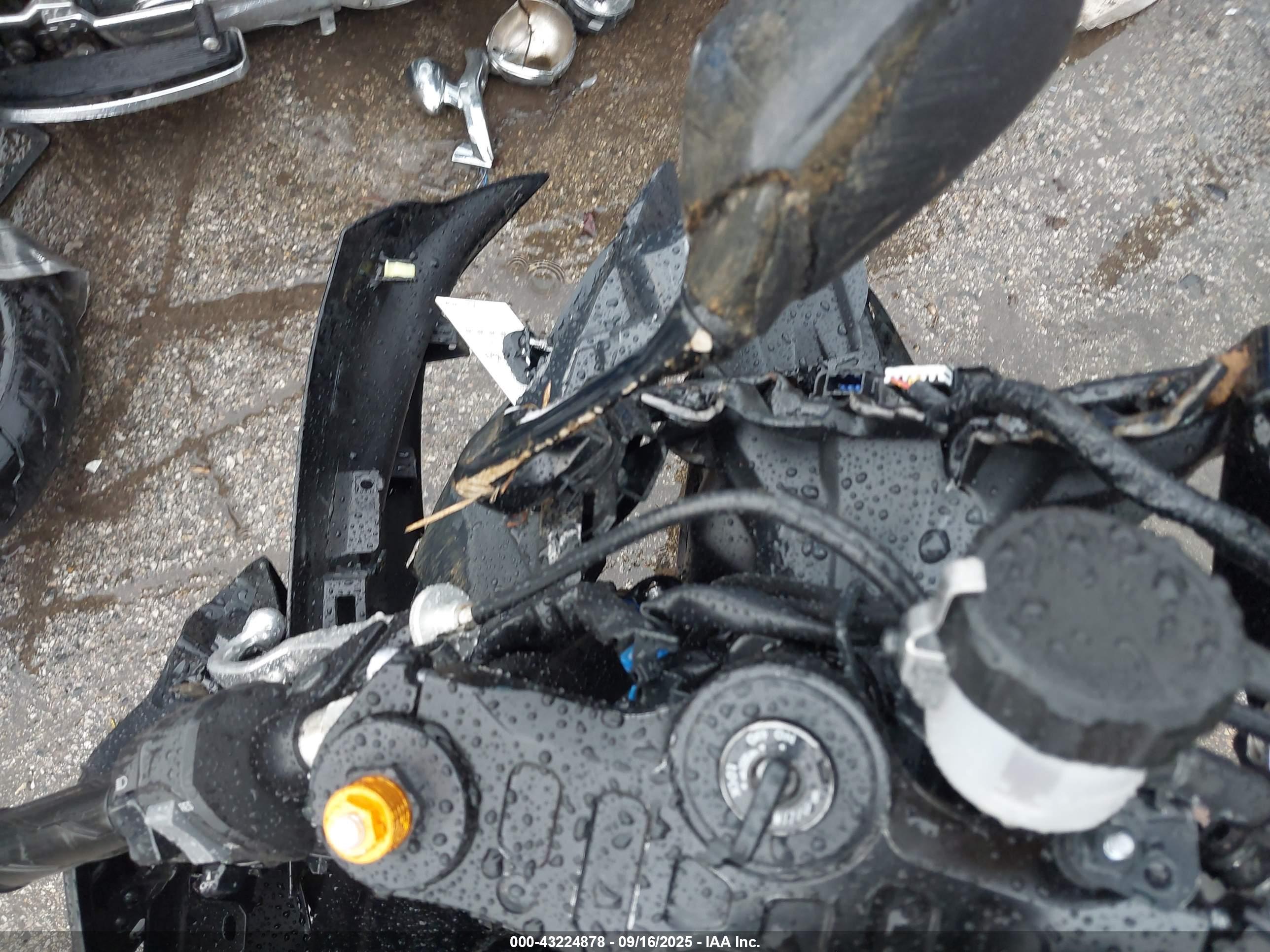YAMAHA YZFR7 image 7