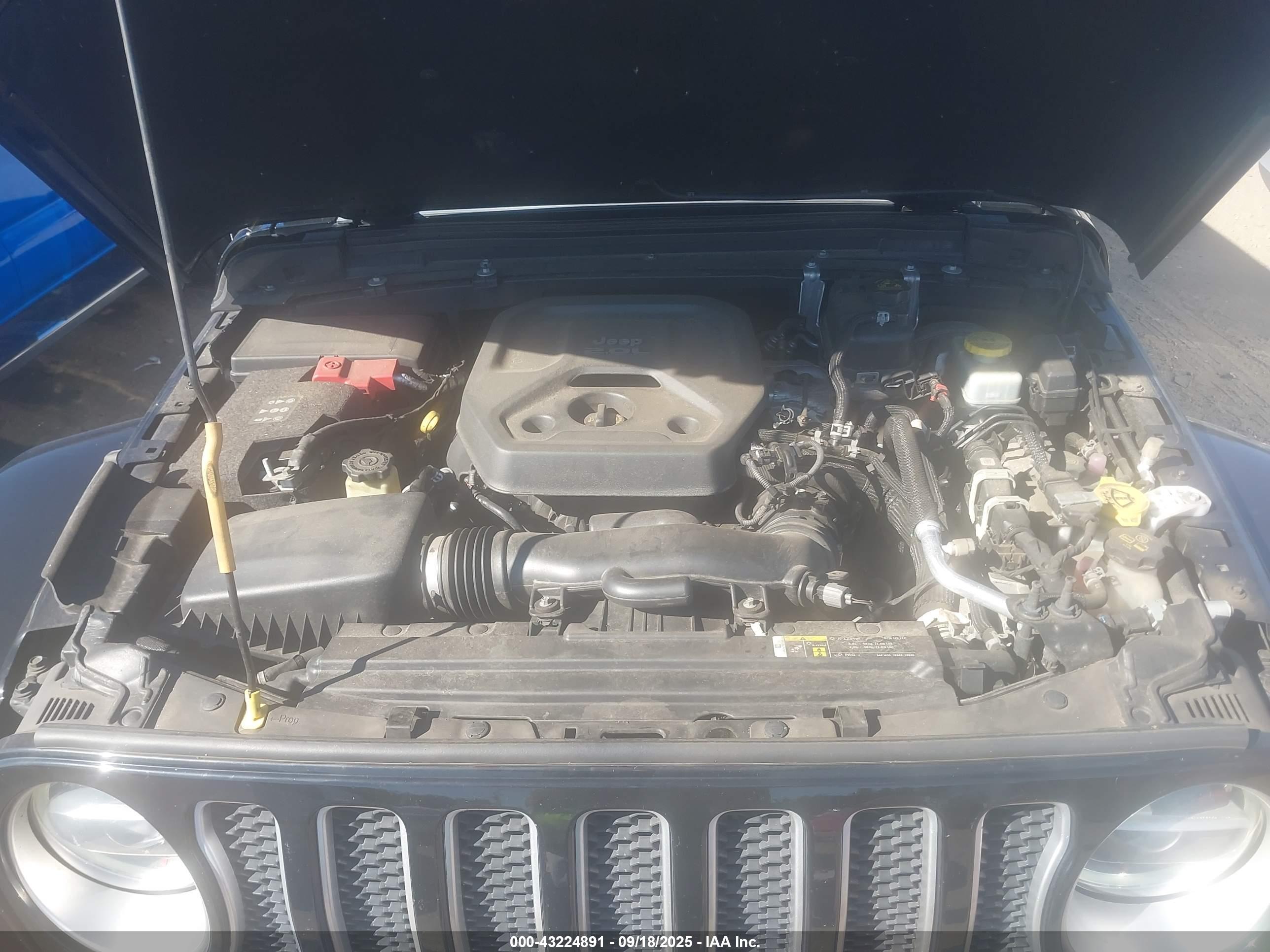 JEEP WRANGLER image 10