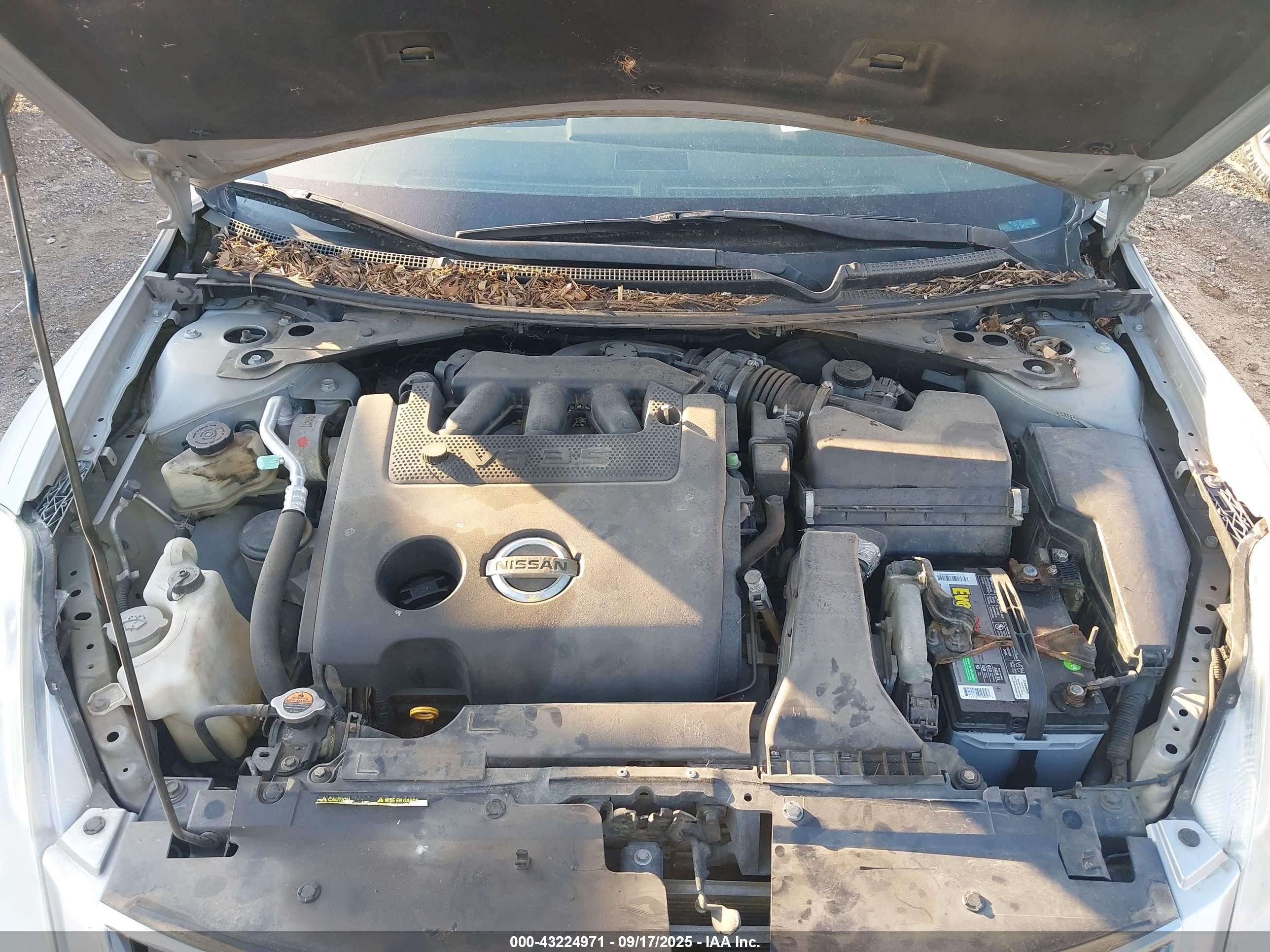 NISSAN ALTIMA image 10