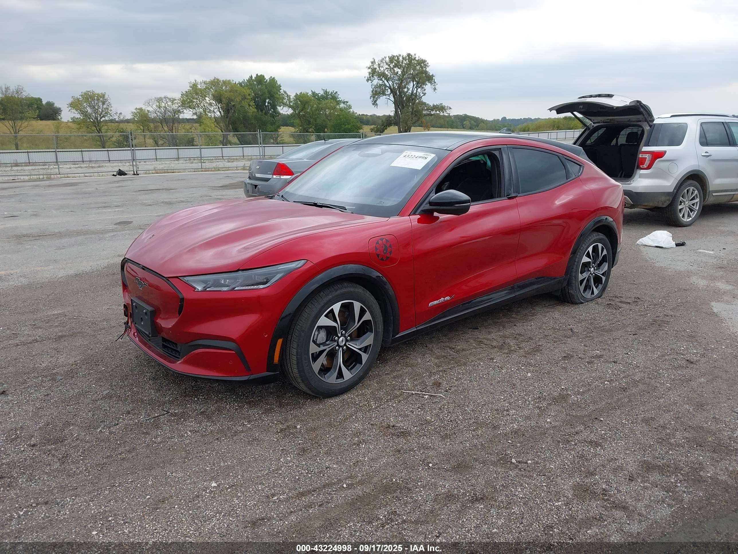 FORD MUSTANG image 2