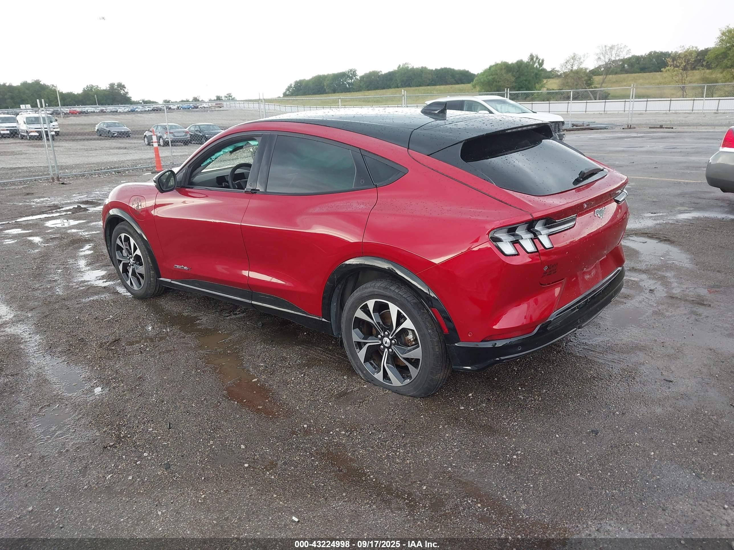 FORD MUSTANG image 3