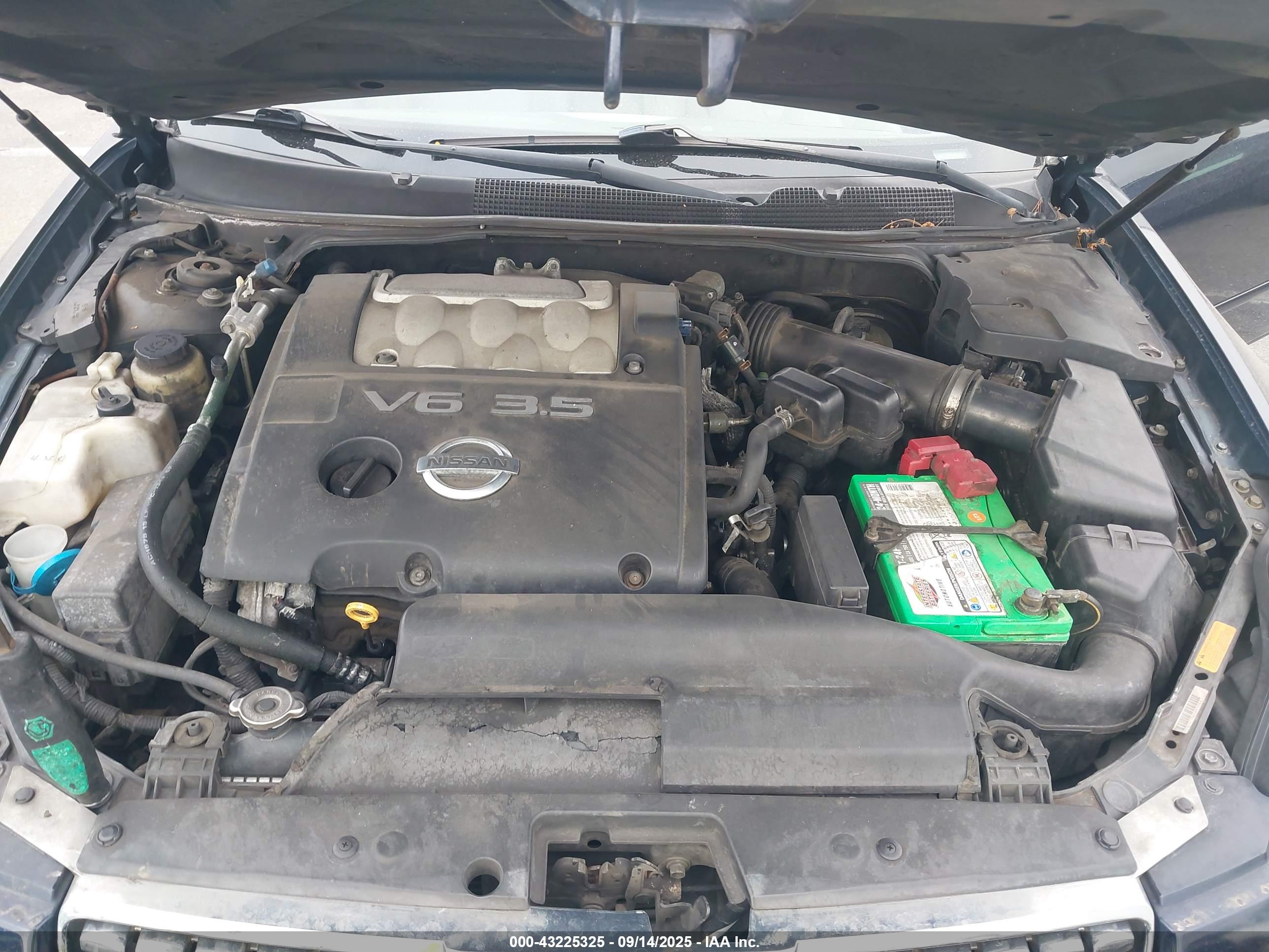 NISSAN MAXIMA image 10
