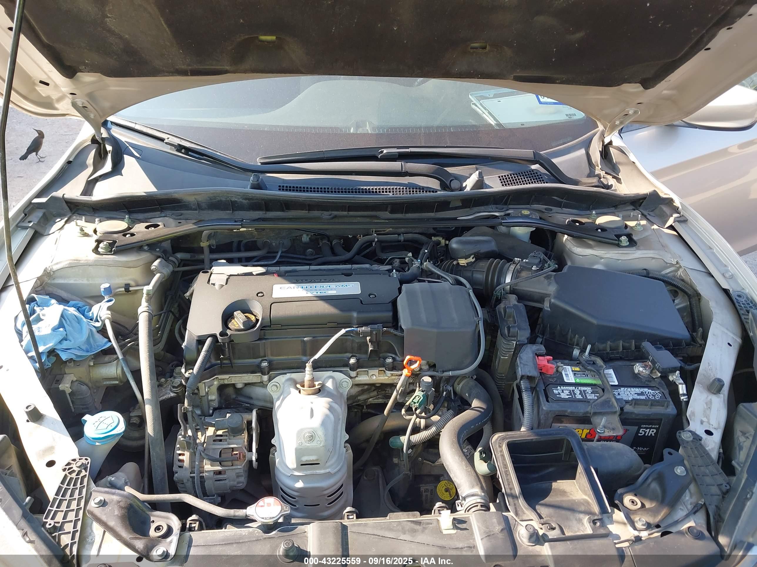 HONDA ACCORD image 10