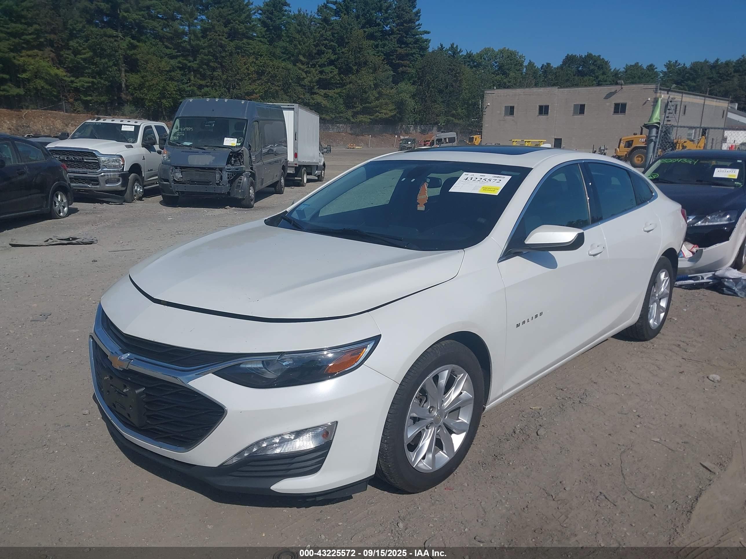 CHEVROLET MALIBU image 2