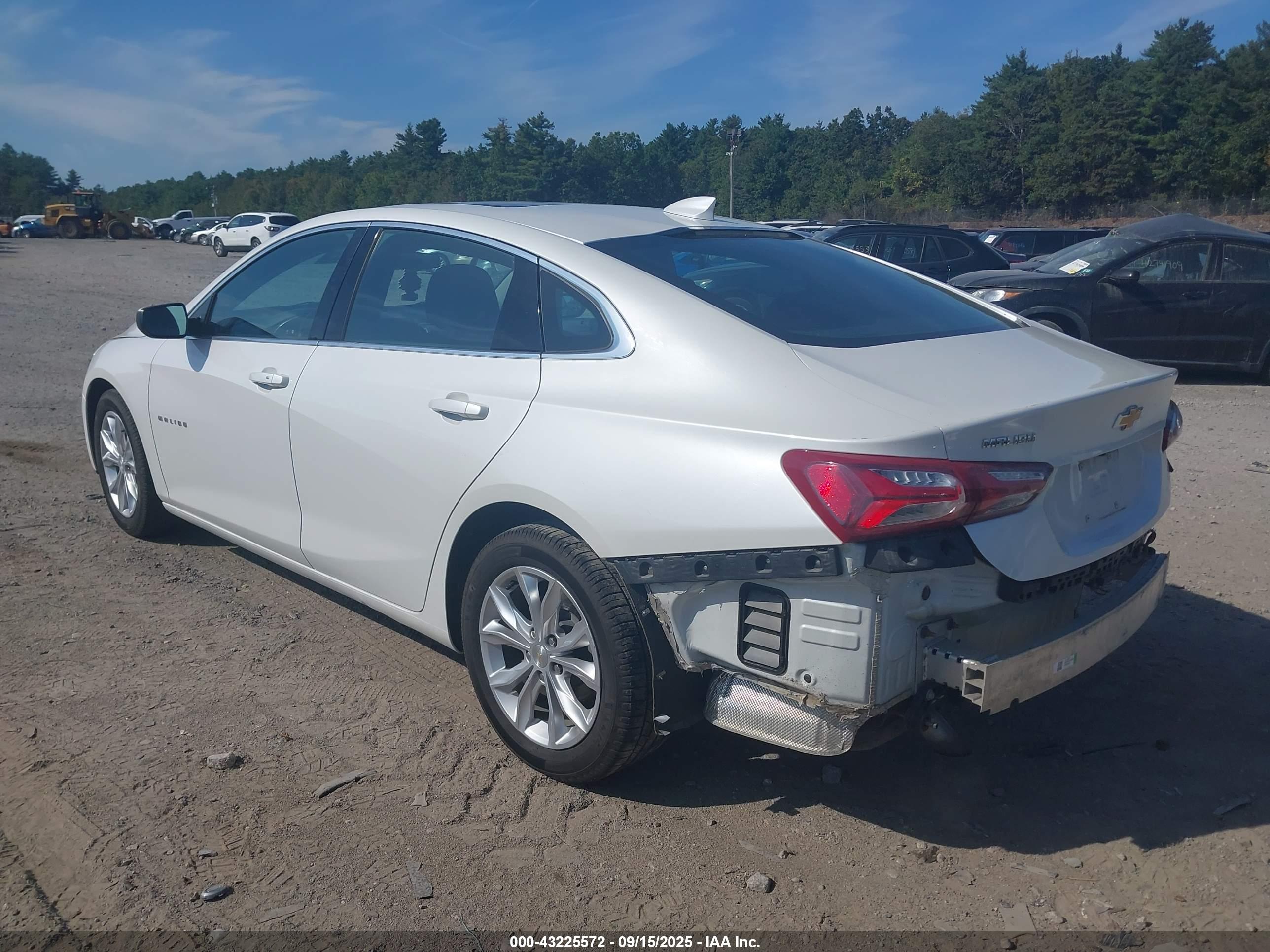 CHEVROLET MALIBU image 3