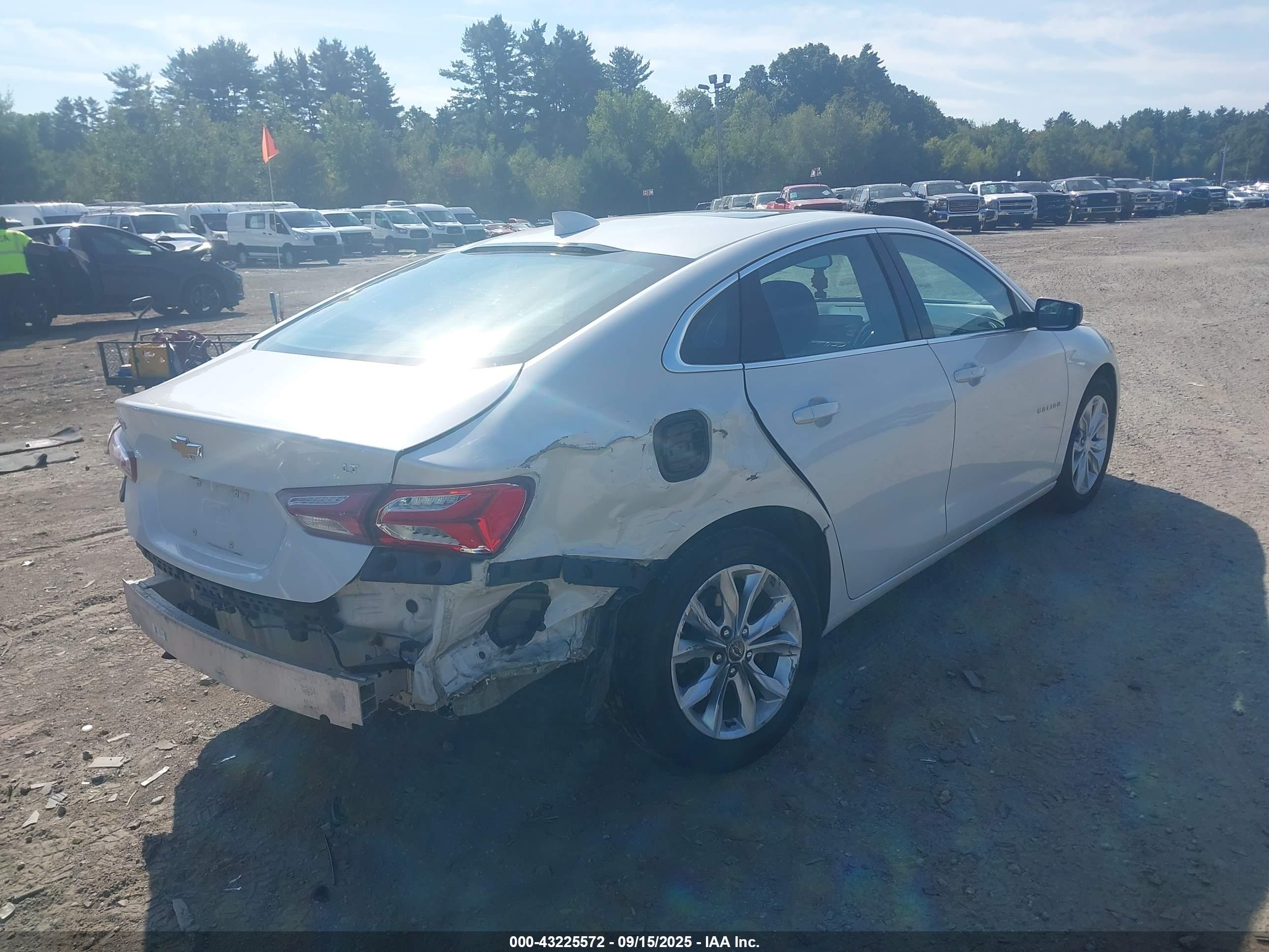 CHEVROLET MALIBU image 4