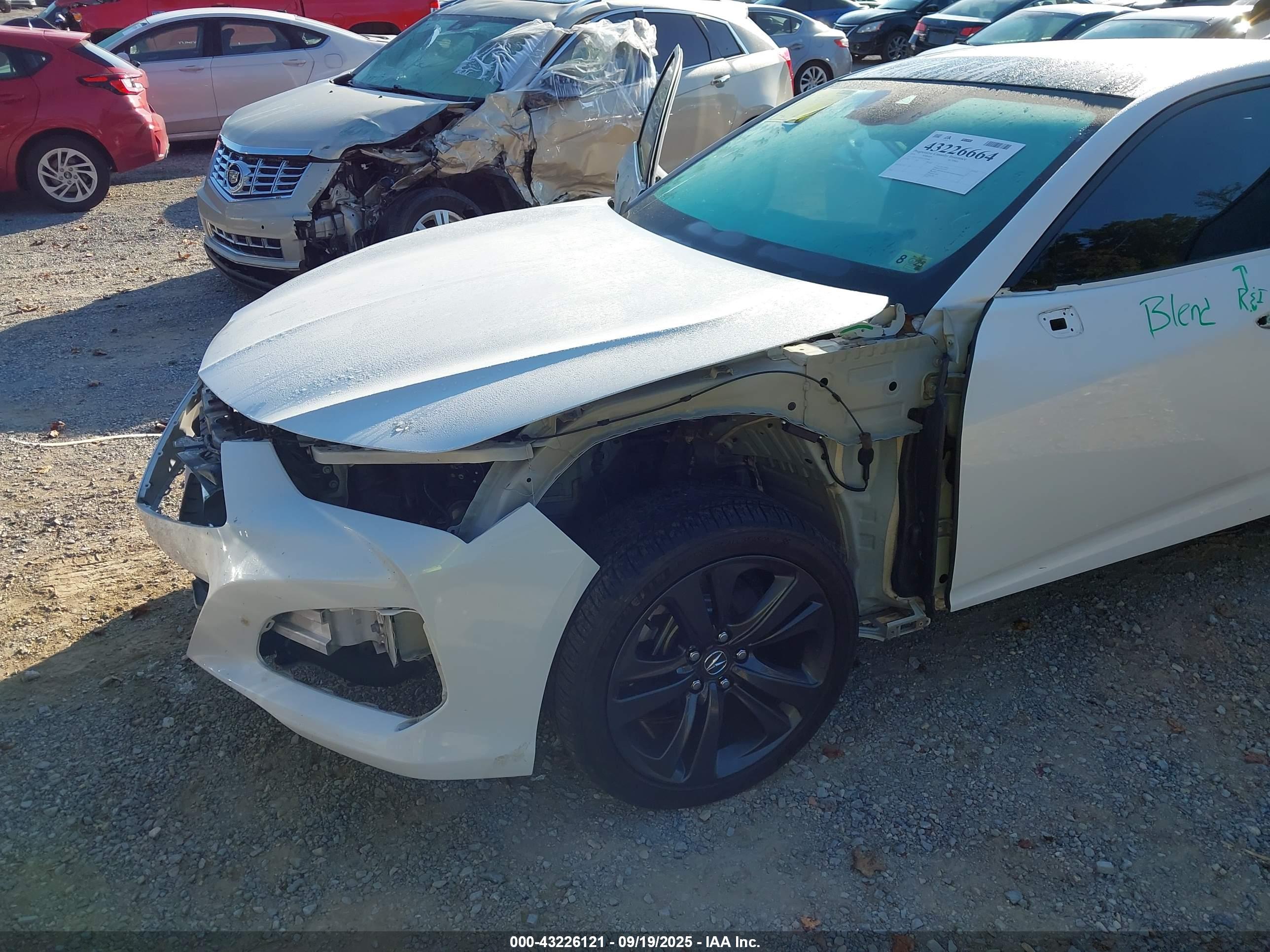 ACURA TLX image 6