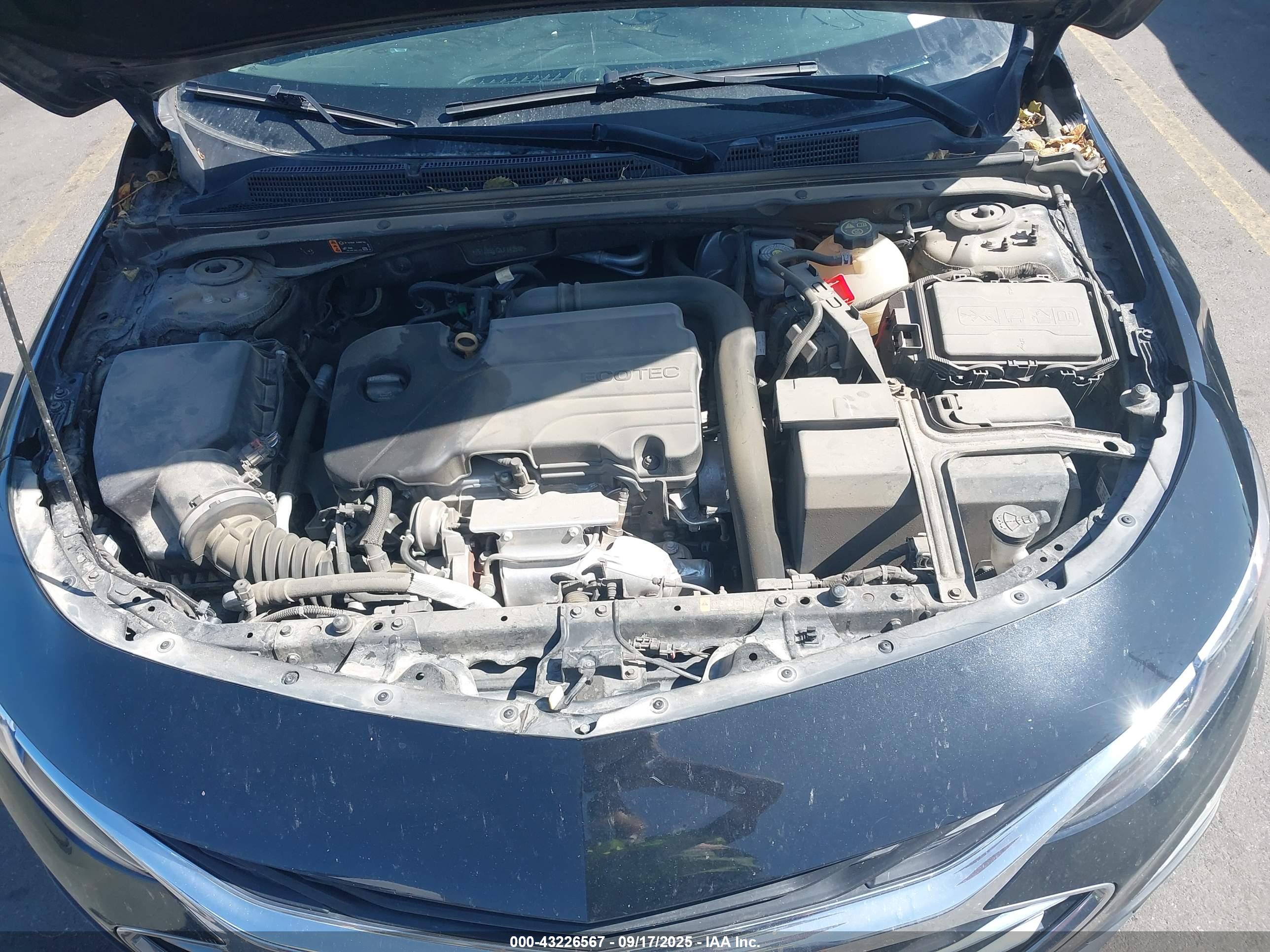 CHEVROLET MALIBU image 10