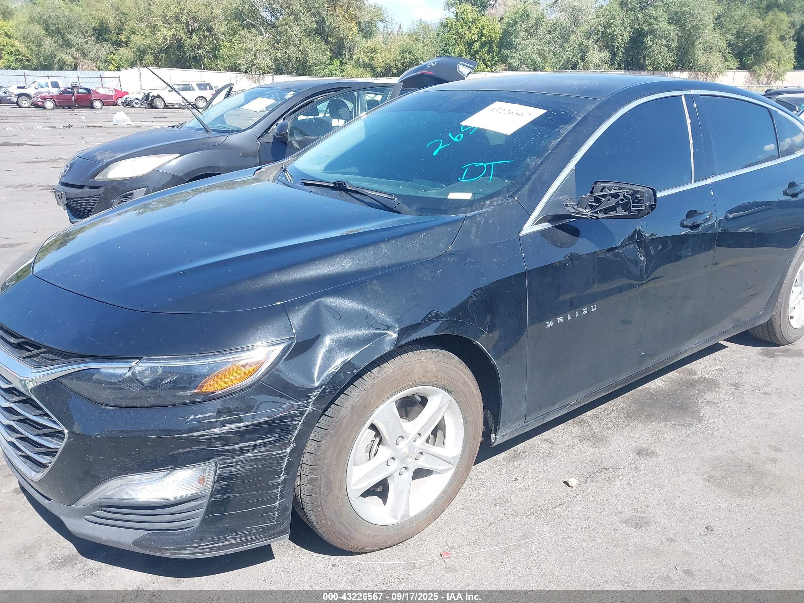 CHEVROLET MALIBU image 6