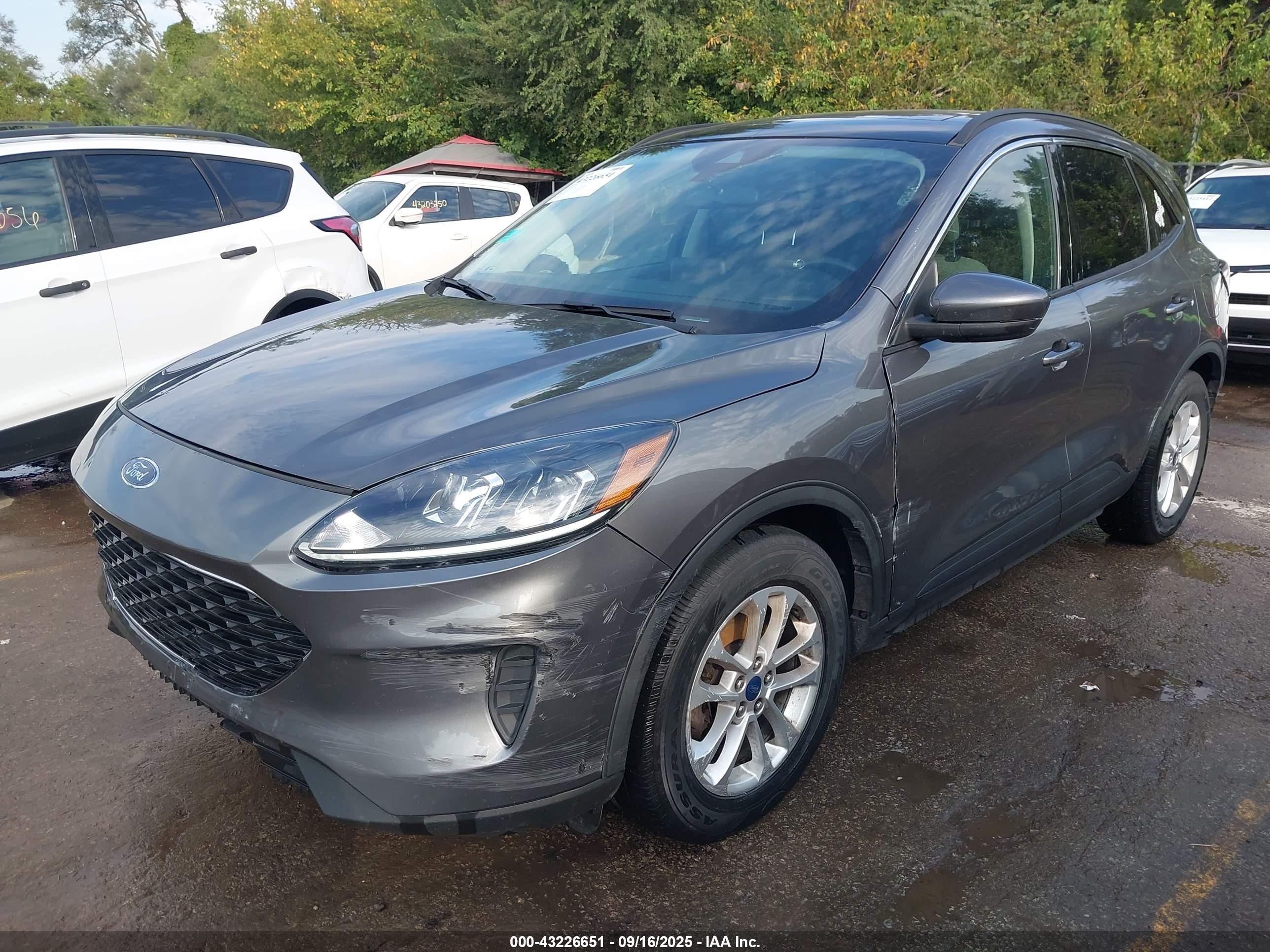 FORD ESCAPE image 2